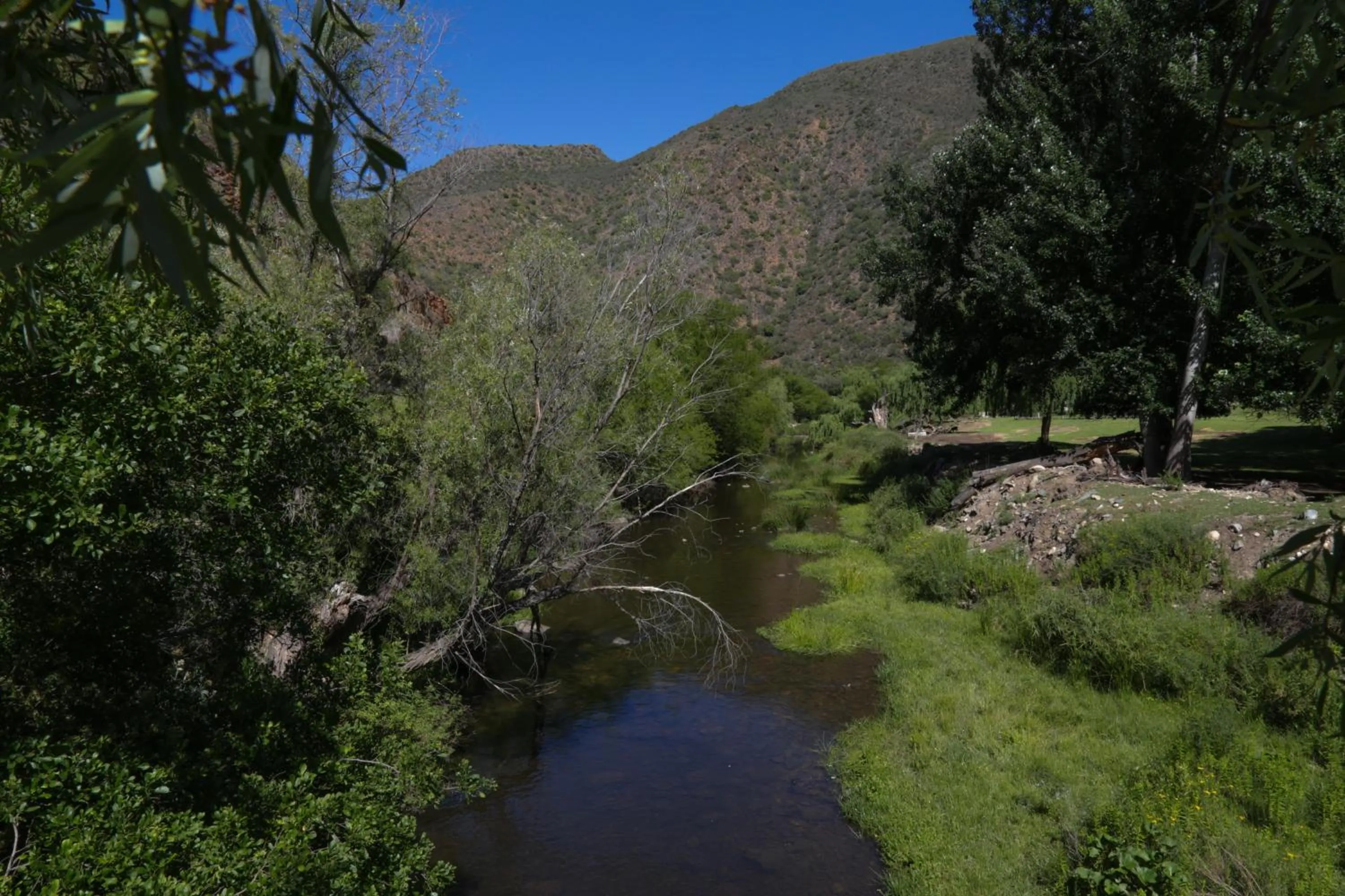 Natural landscape in De Oude Meul Country Lodge & Restaurant