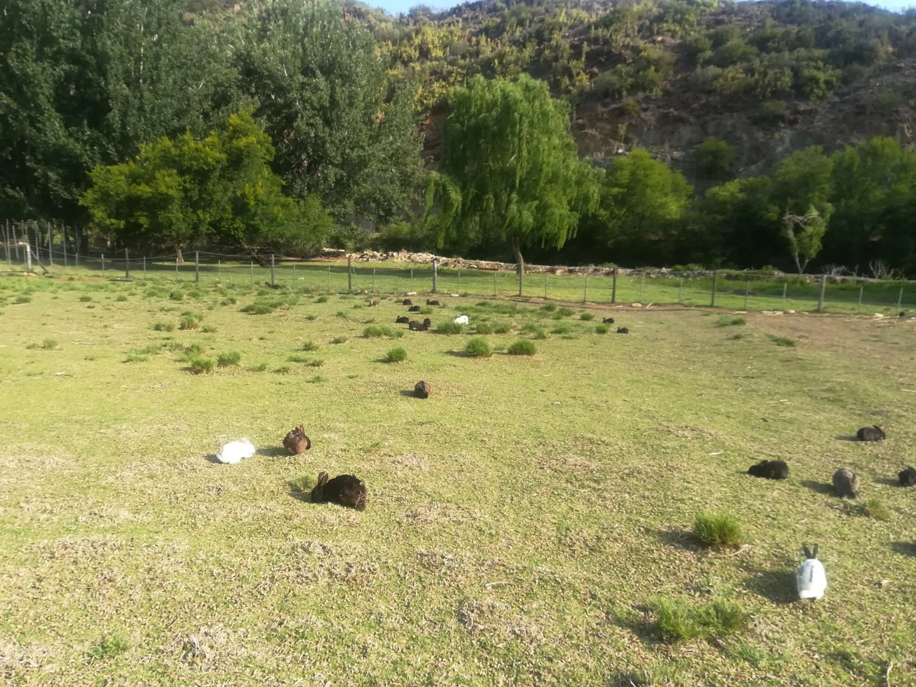 Natural landscape in De Oude Meul Country Lodge & Restaurant