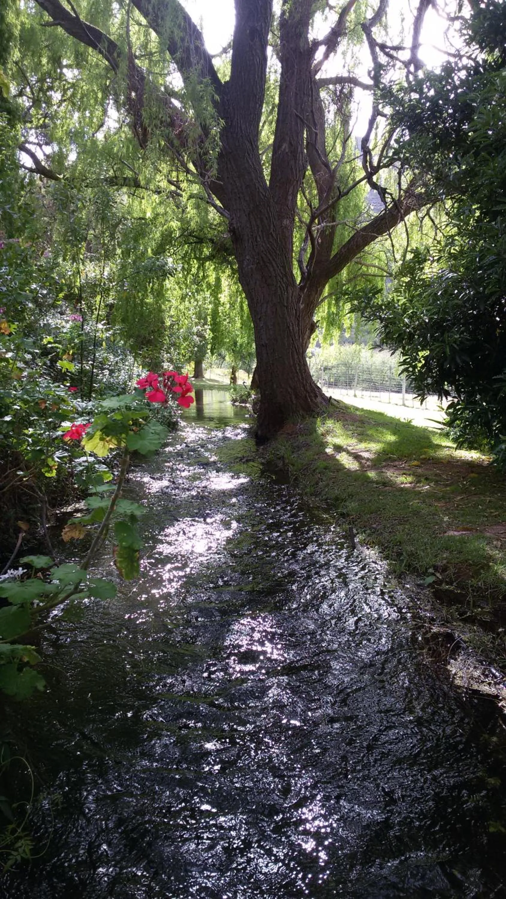 Garden in De Oude Meul Country Lodge & Restaurant