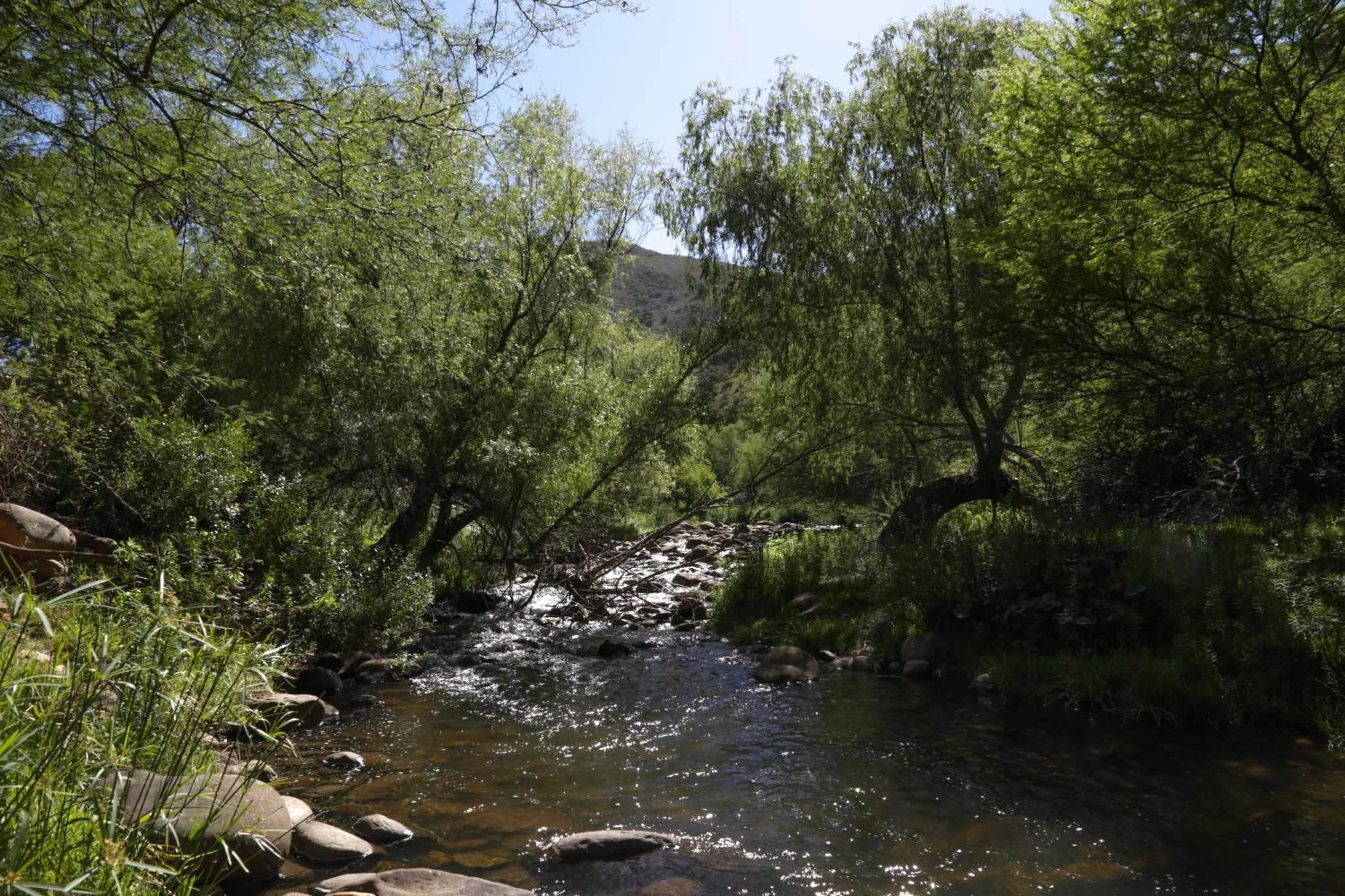 Natural landscape in De Oude Meul Country Lodge & Restaurant