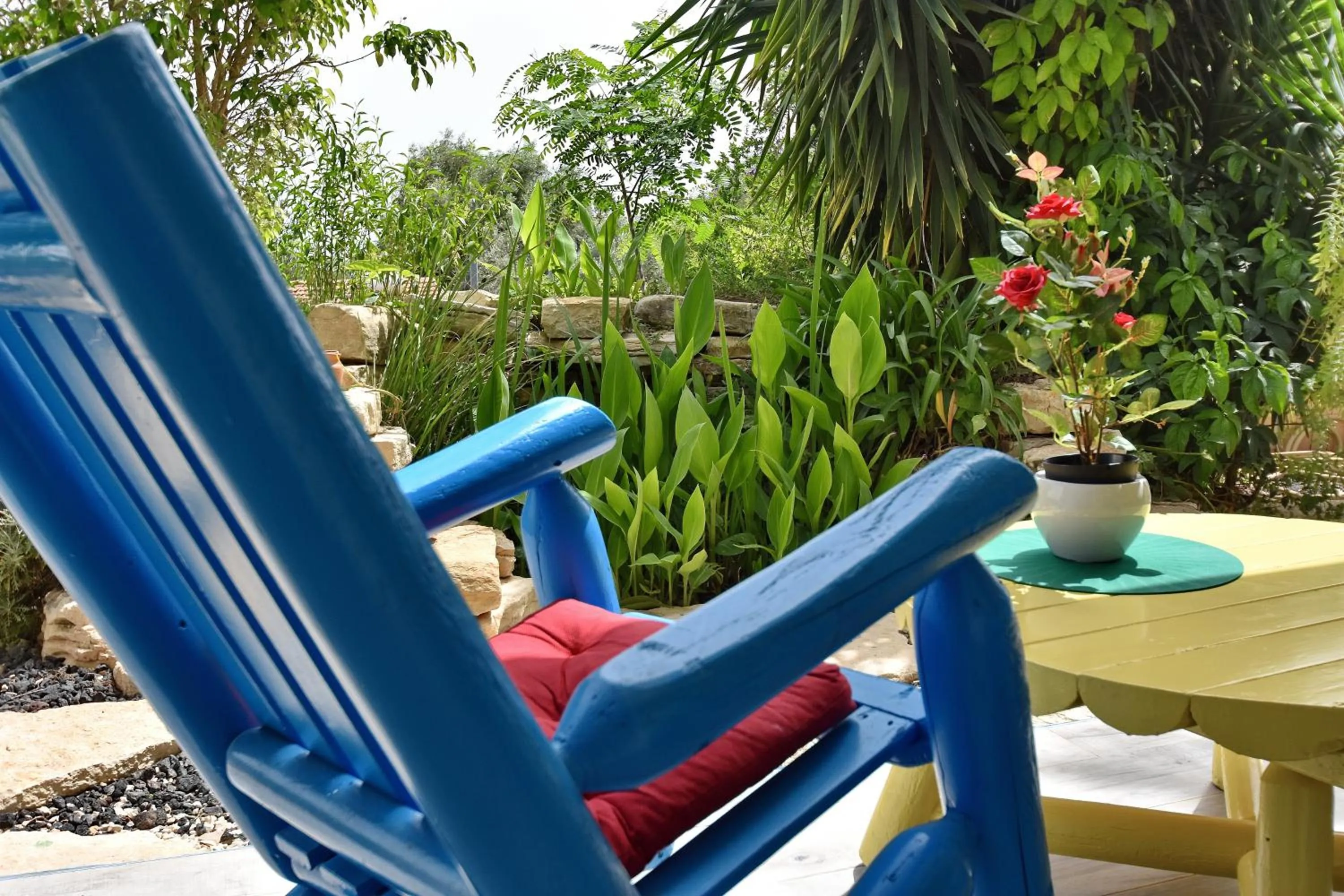 Garden view in Out of Africa Resort