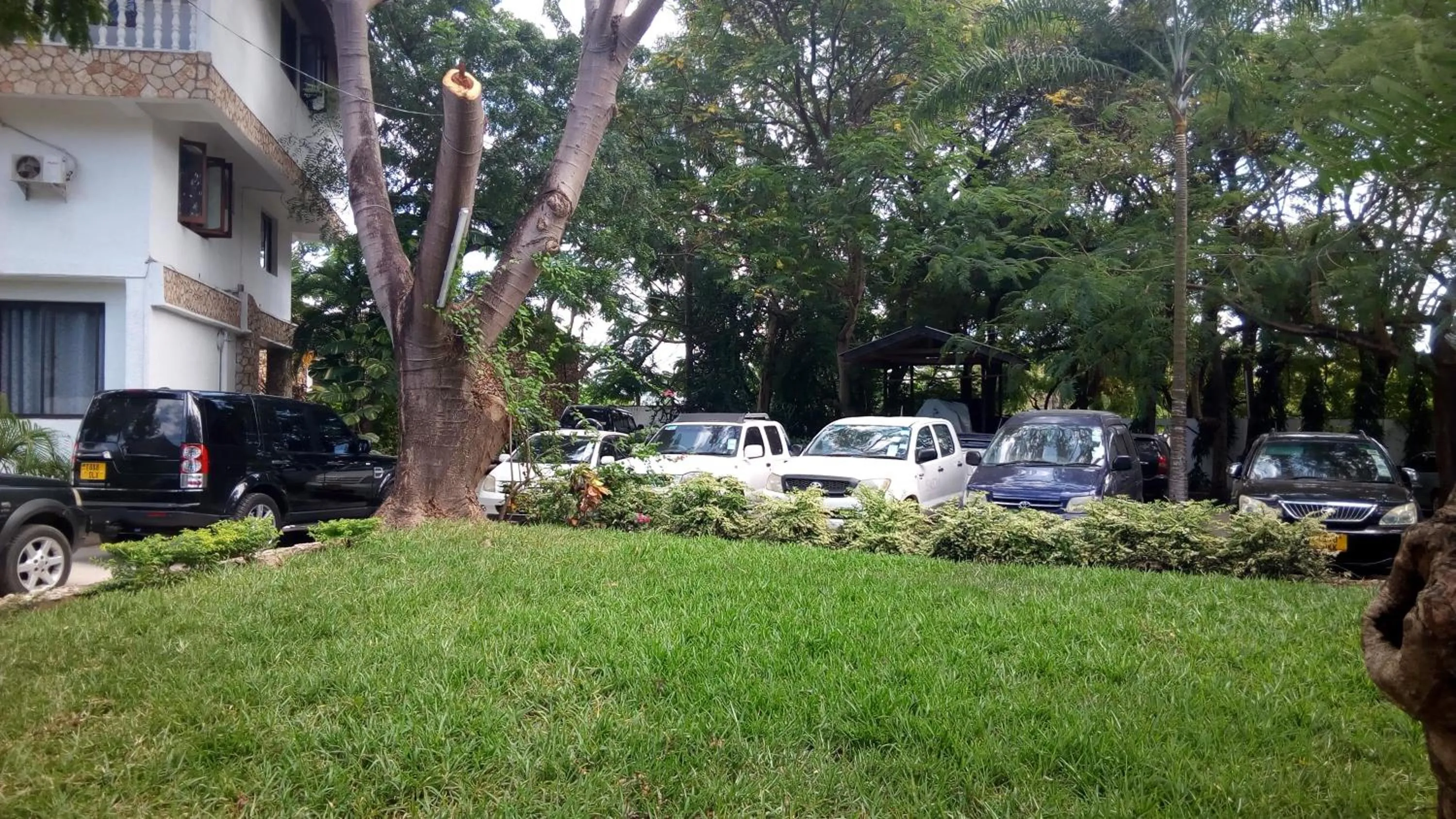 Children play ground, Garden in Serene Hotel