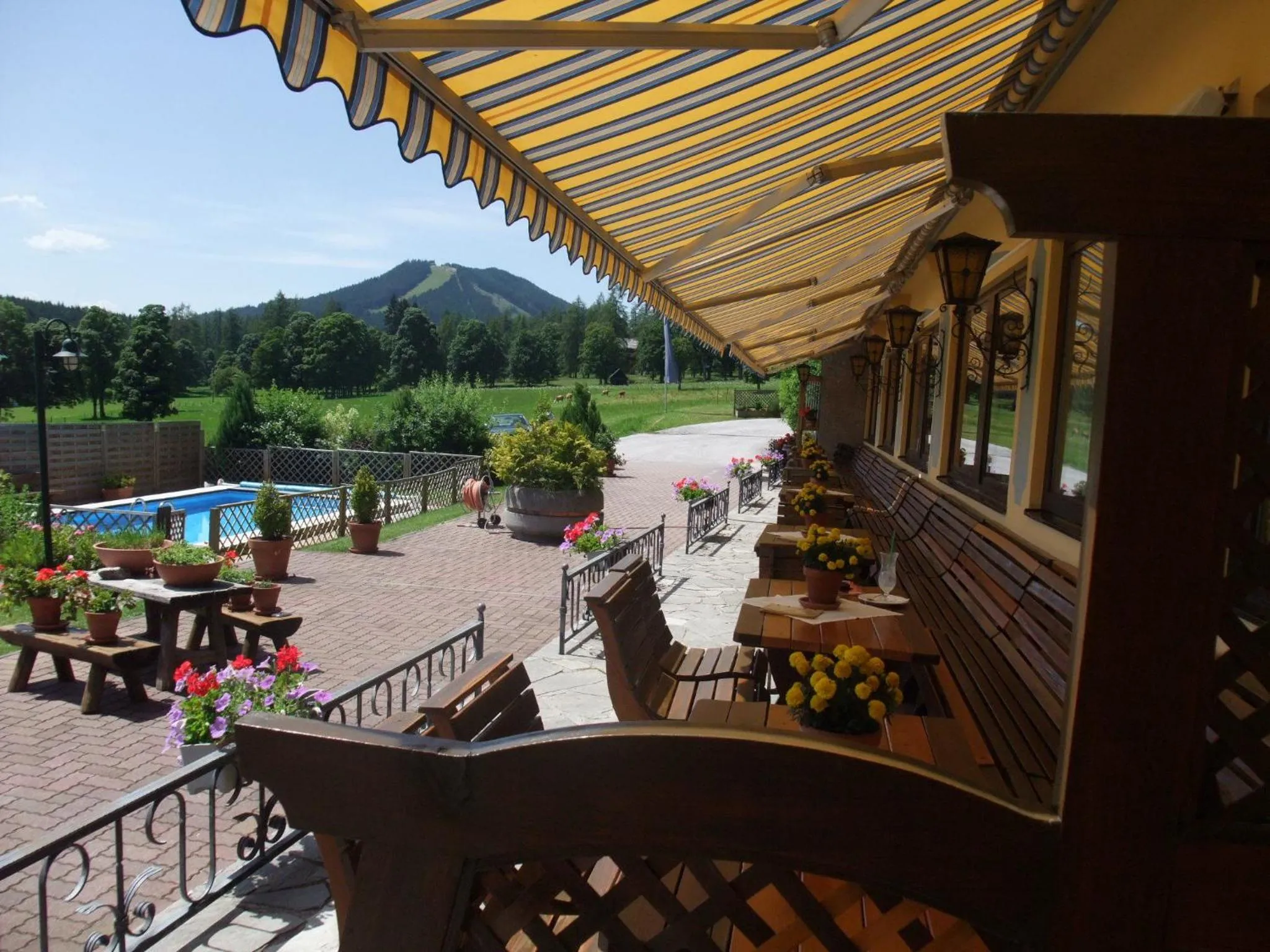 Balcony/Terrace in Ferienhotel Knollhof