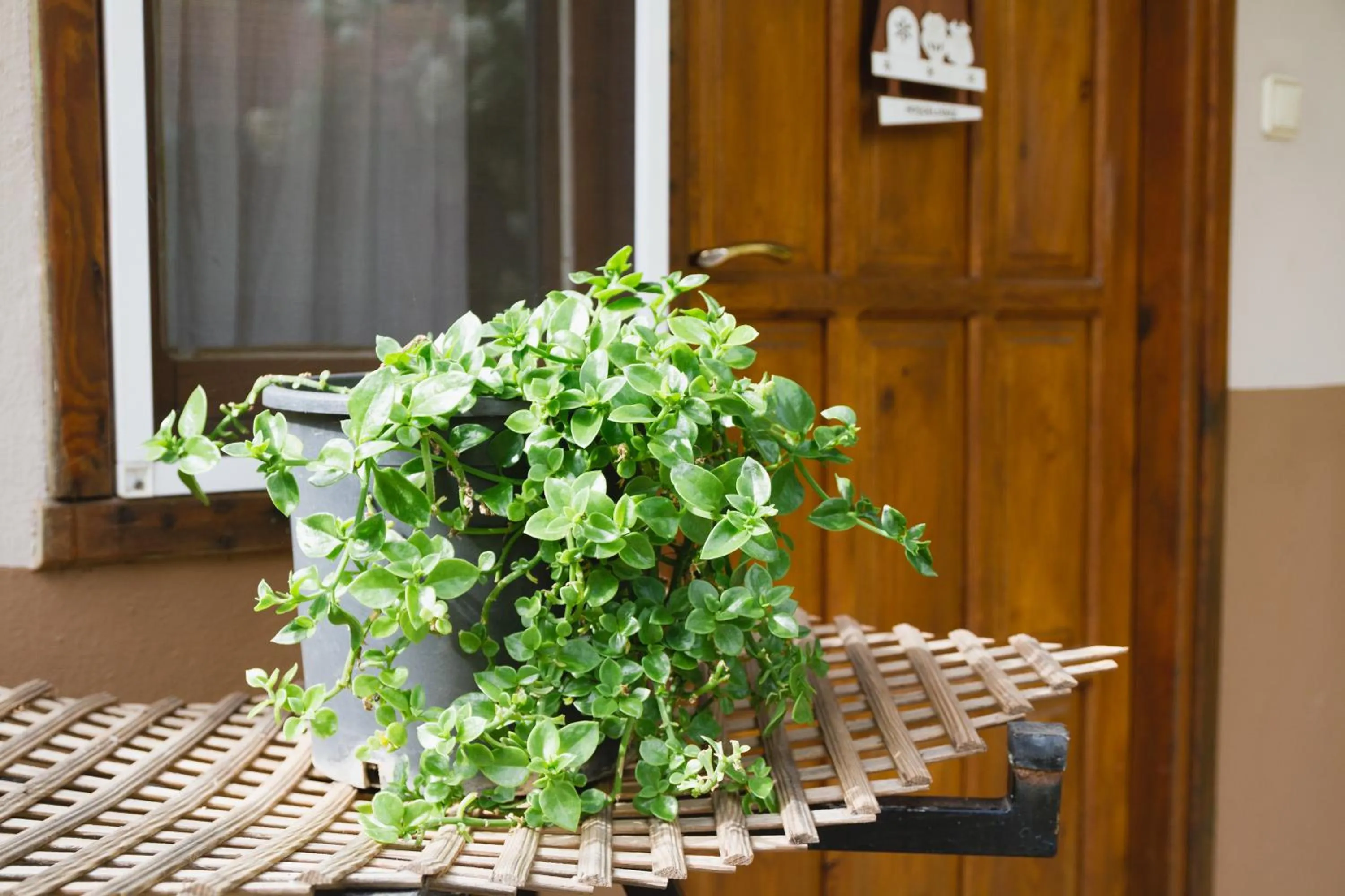 Facade/entrance in Village Garden Pansiyon