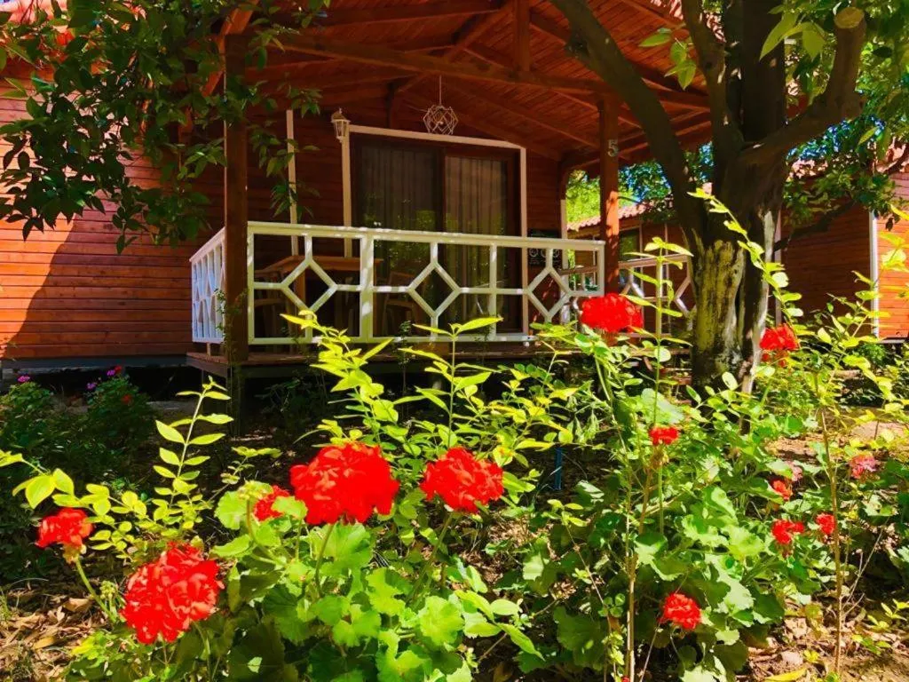 Garden view in Village Garden Pansiyon