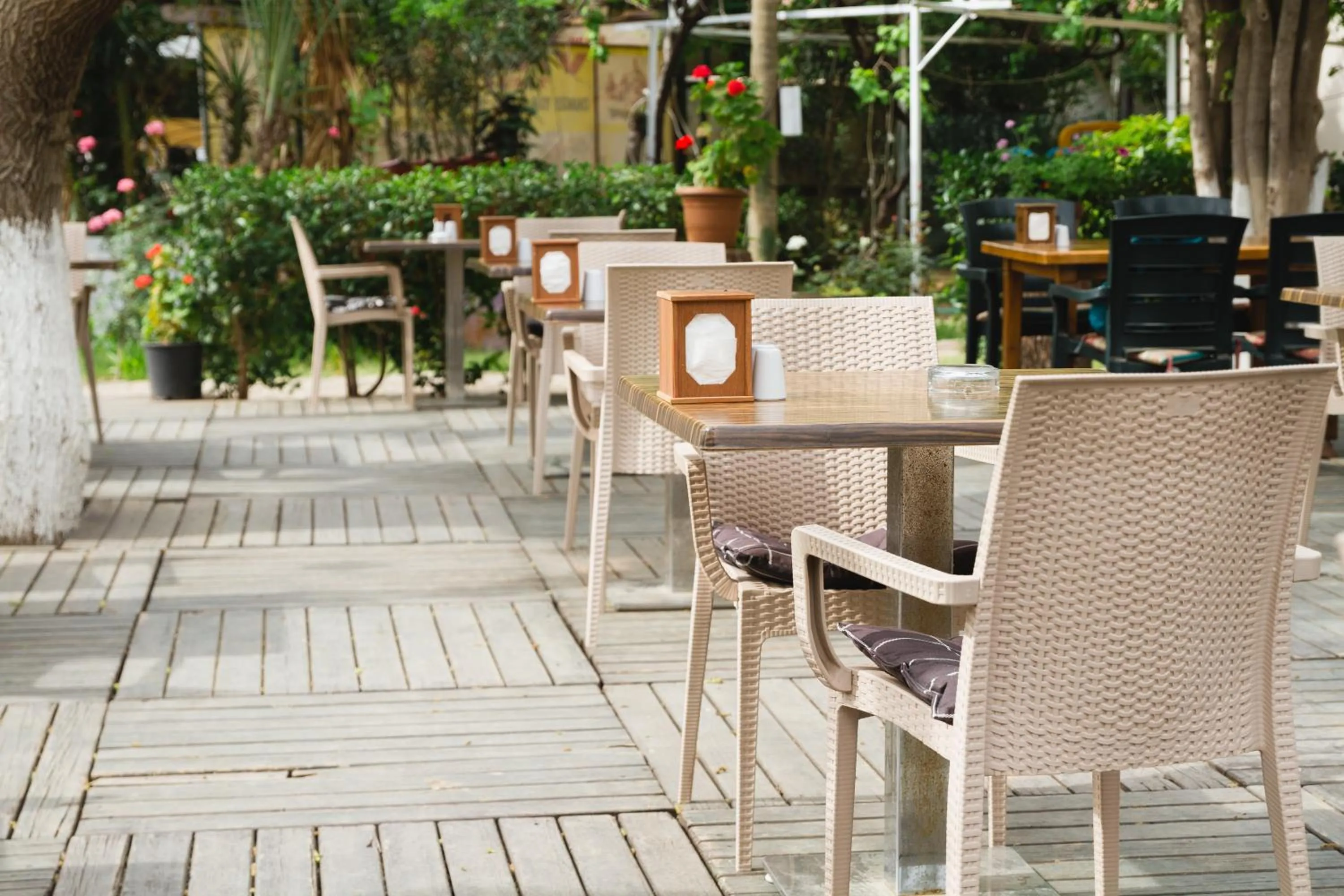 Restaurant/places to eat in Village Garden Pansiyon