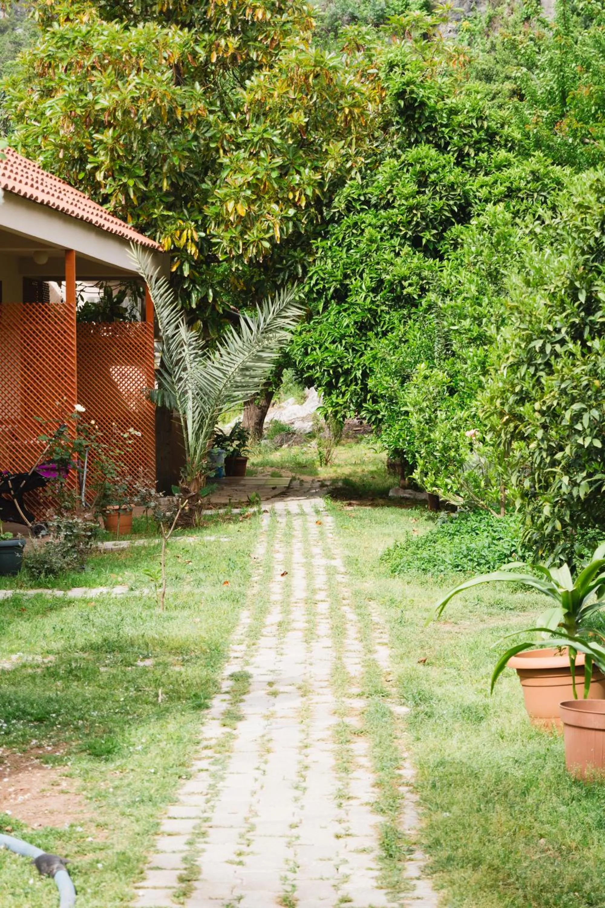 Garden in Village Garden Pansiyon