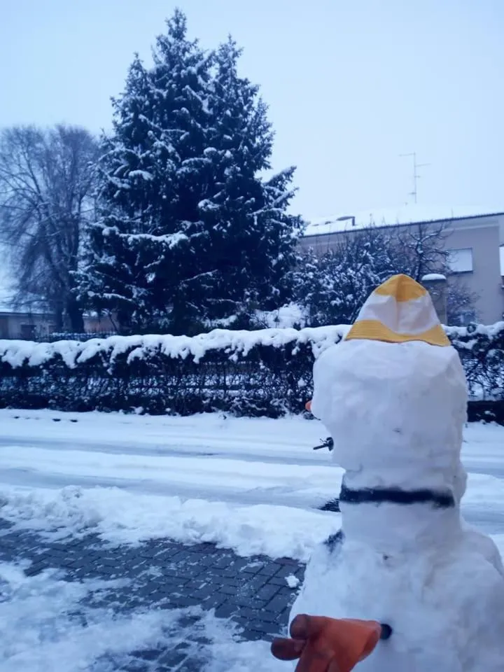 Garden view in B&B delle Arti