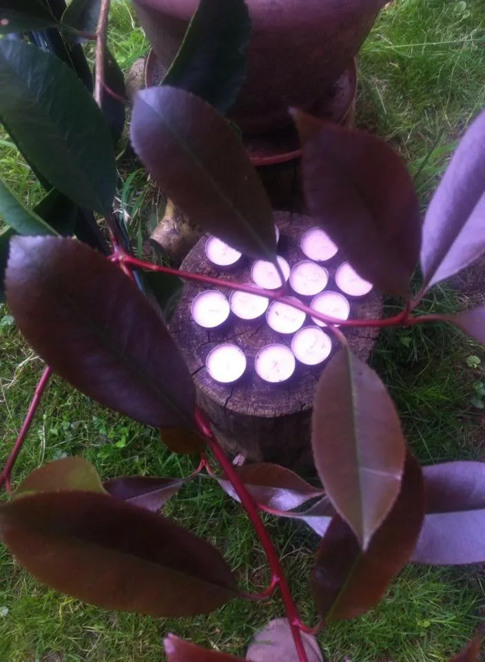 Garden view in B&B delle Arti