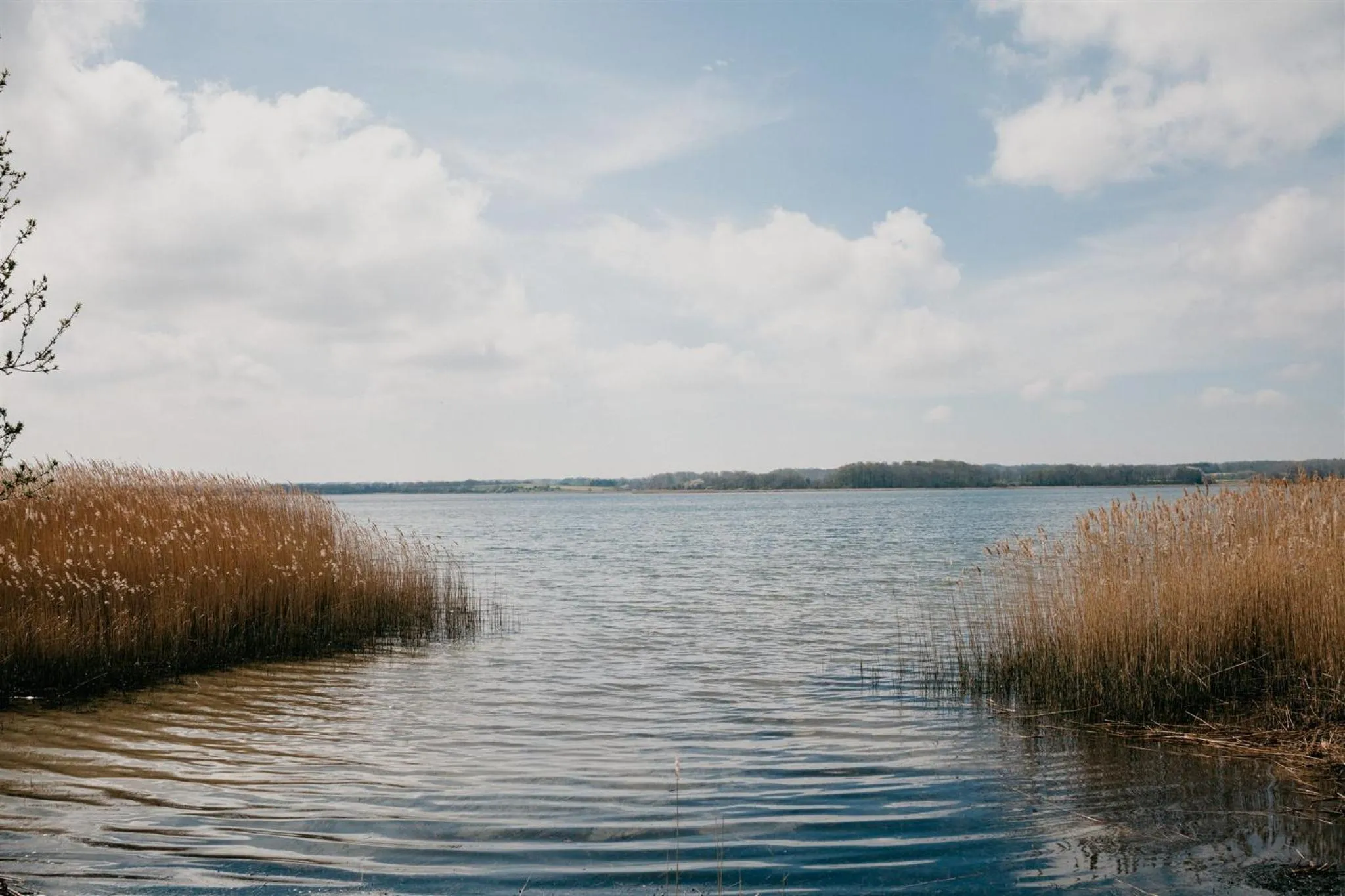 Sea view in Jungshoved Præstegård B&B