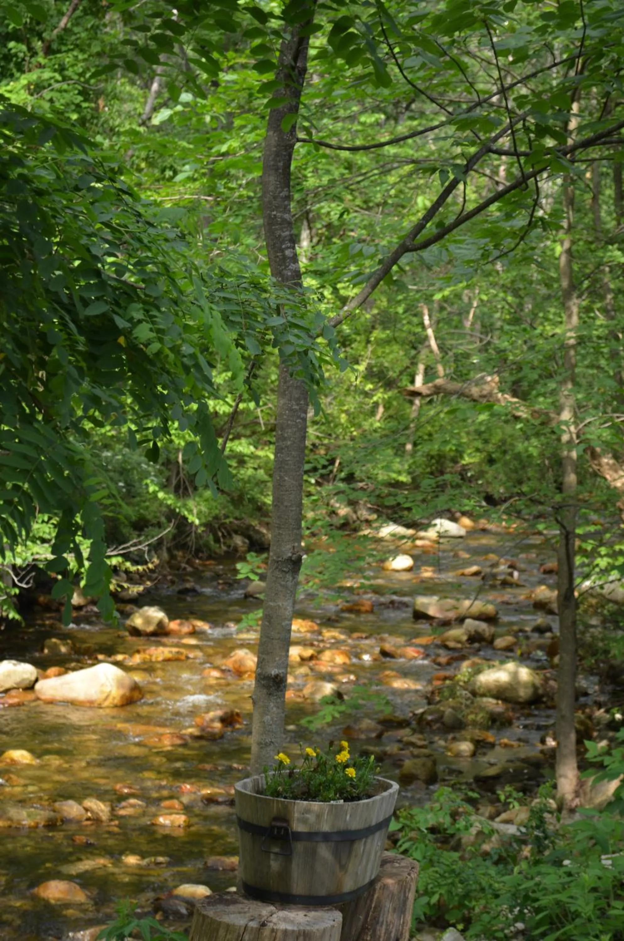 Area and facilities in Cozy Corner Motel