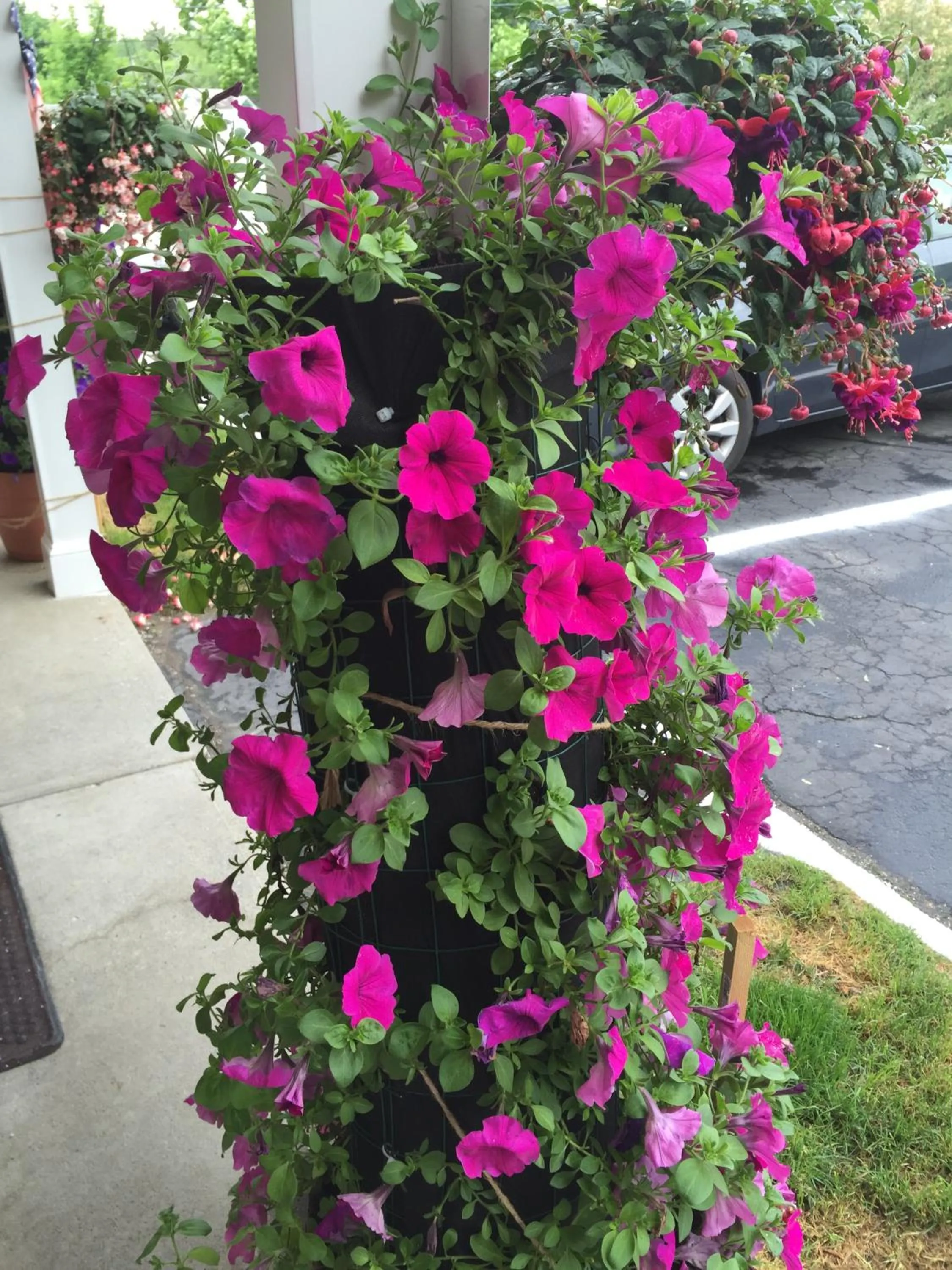 Spring in Cozy Corner Motel