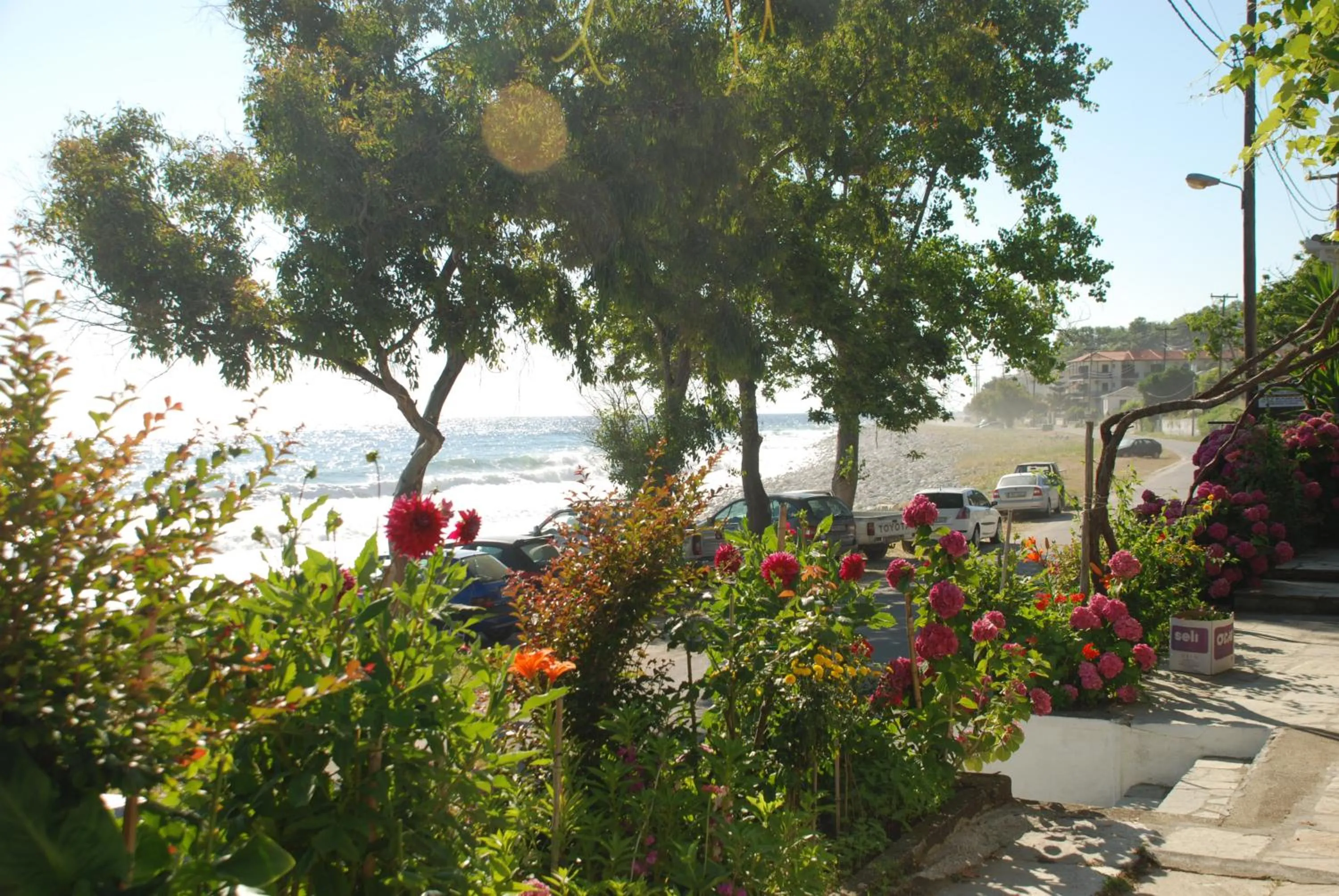 Patio in Hotel Cleopatra