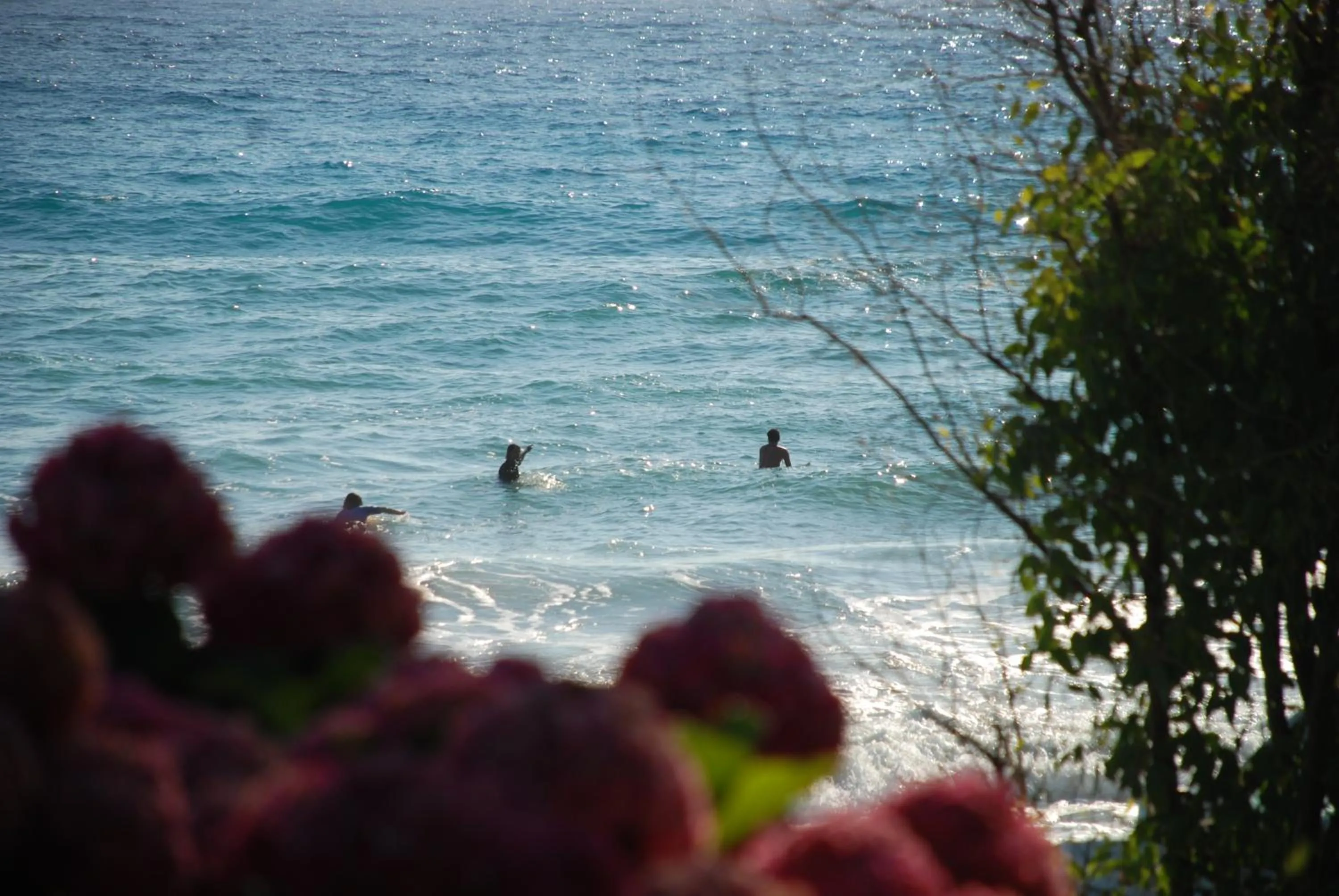 Summer in Hotel Cleopatra