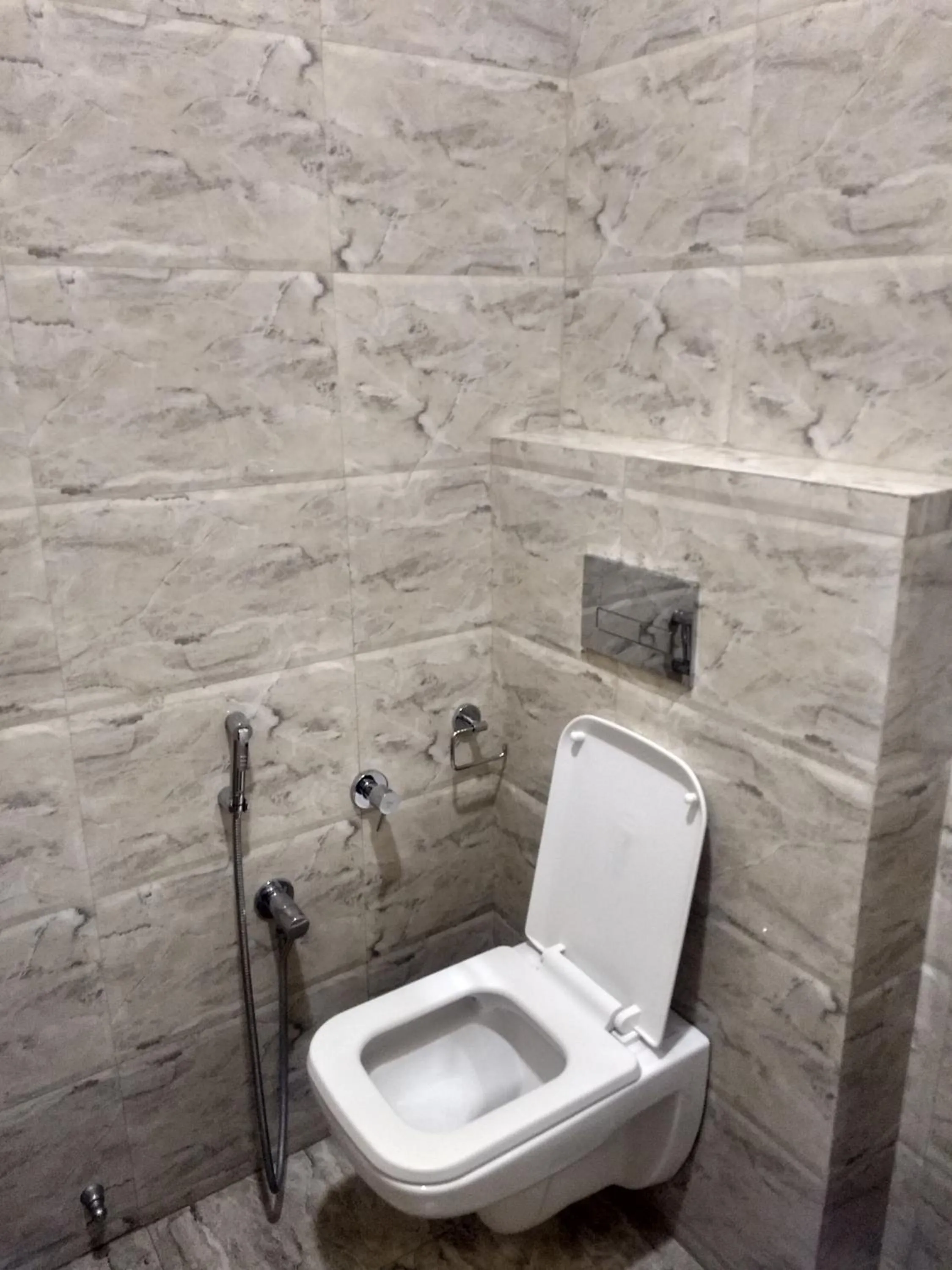 Toilet in Hotel Reyansh