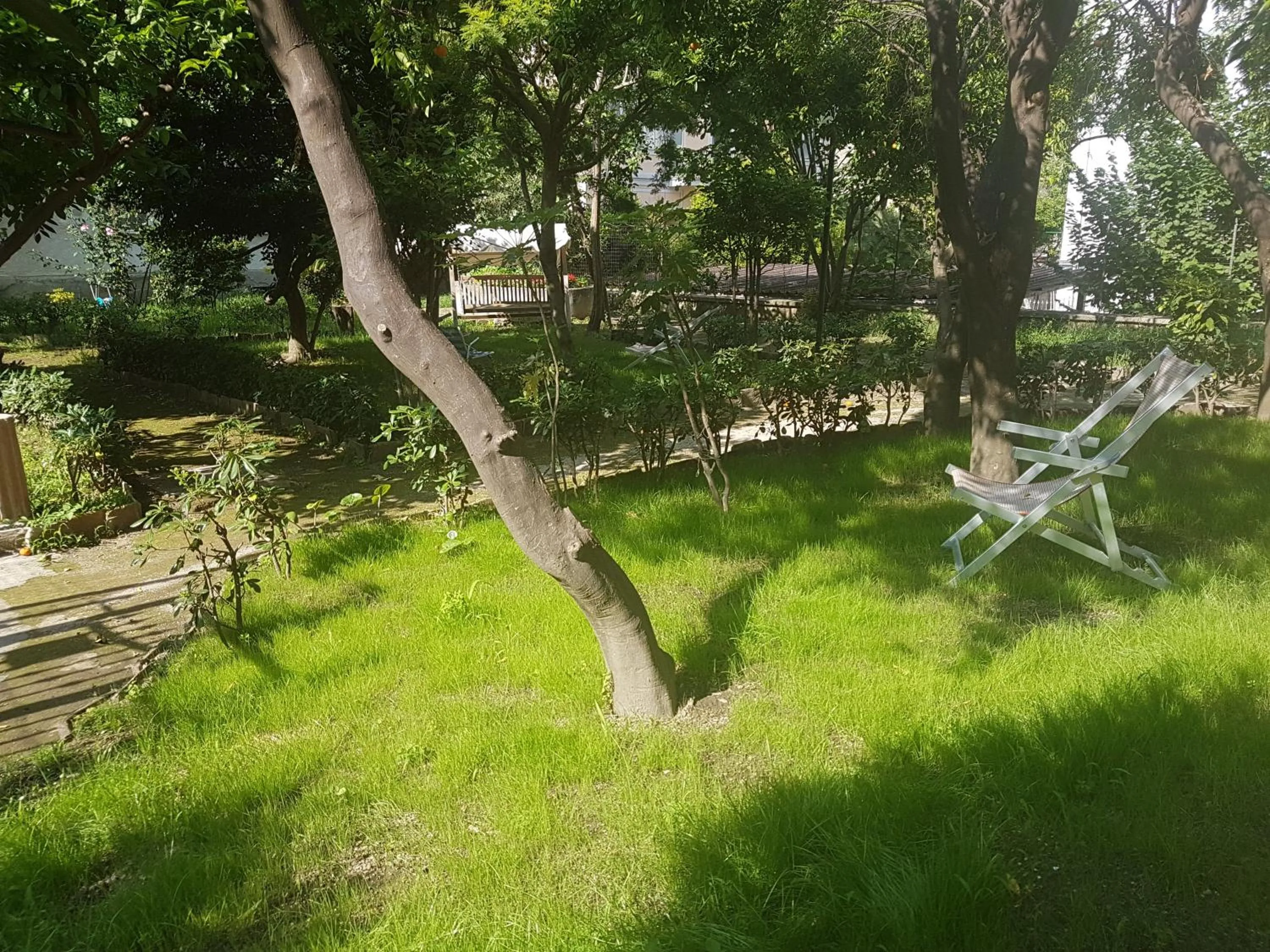 Il Giardino Di Vico Neve