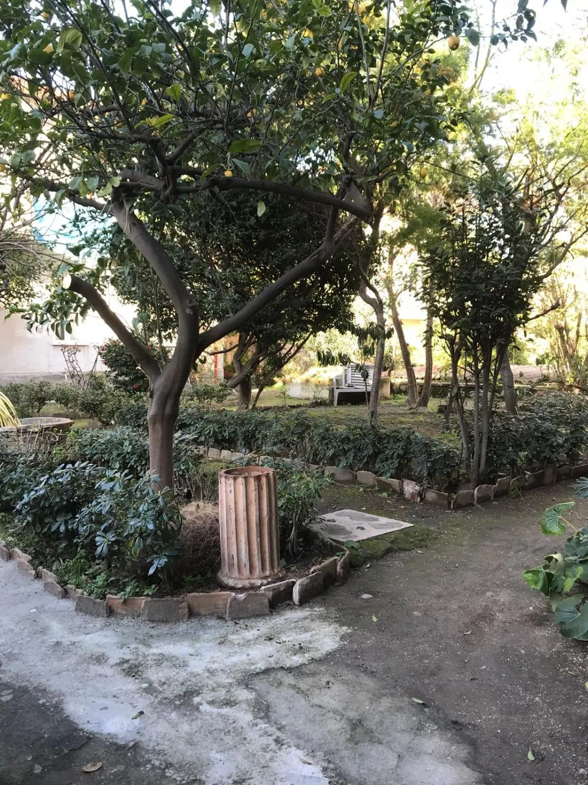 Il Giardino Di Vico Neve