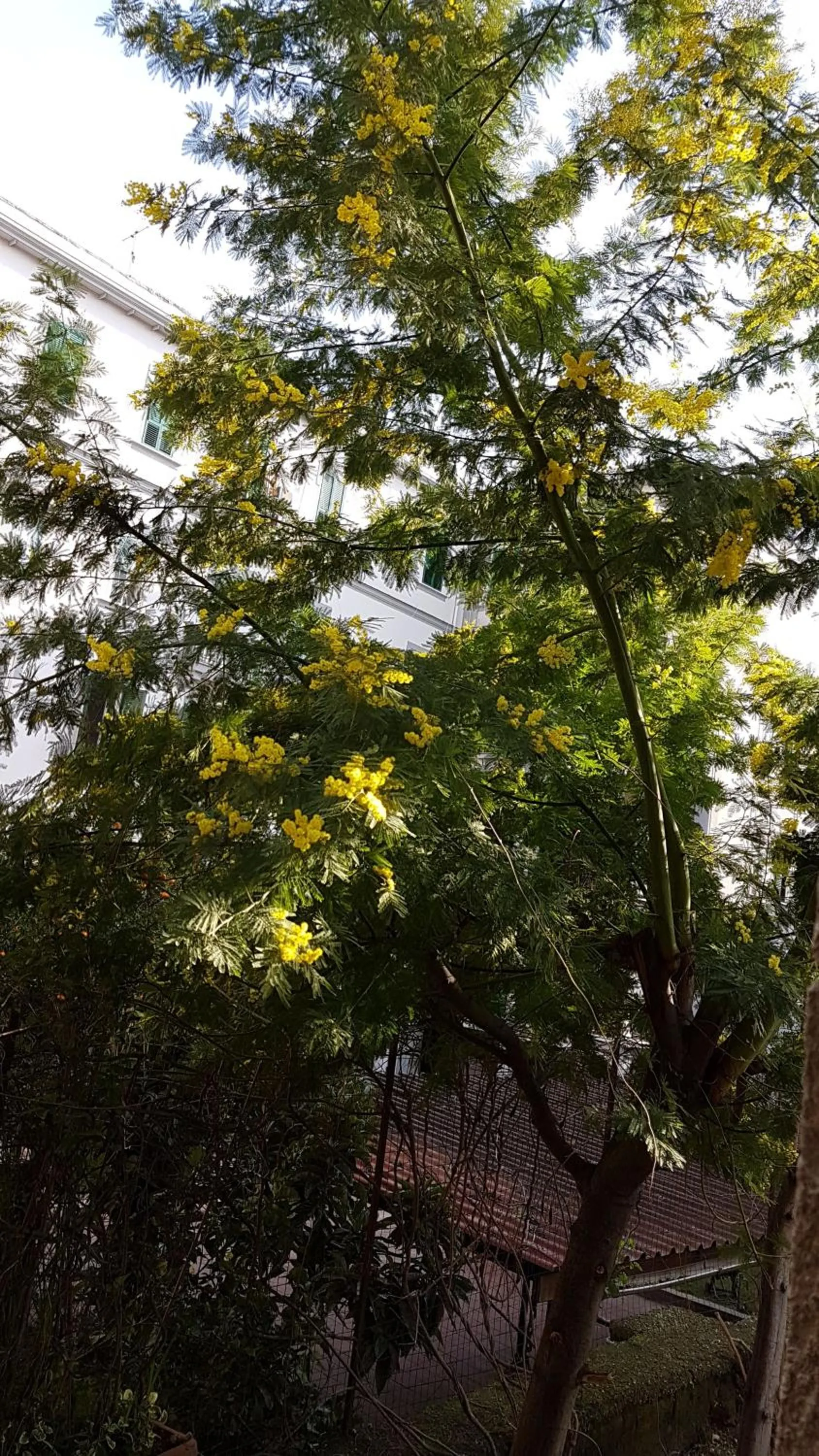 Property building in Il Giardino Di Vico Neve