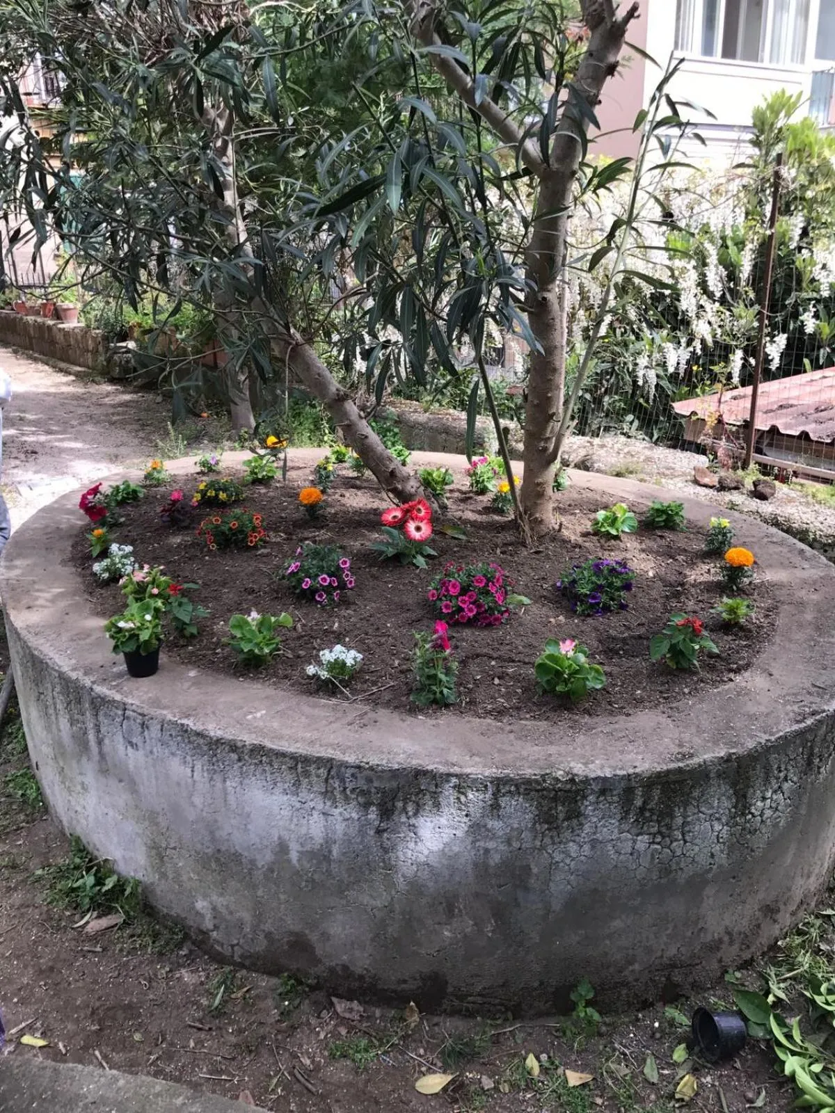 Garden in Il Giardino Di Vico Neve