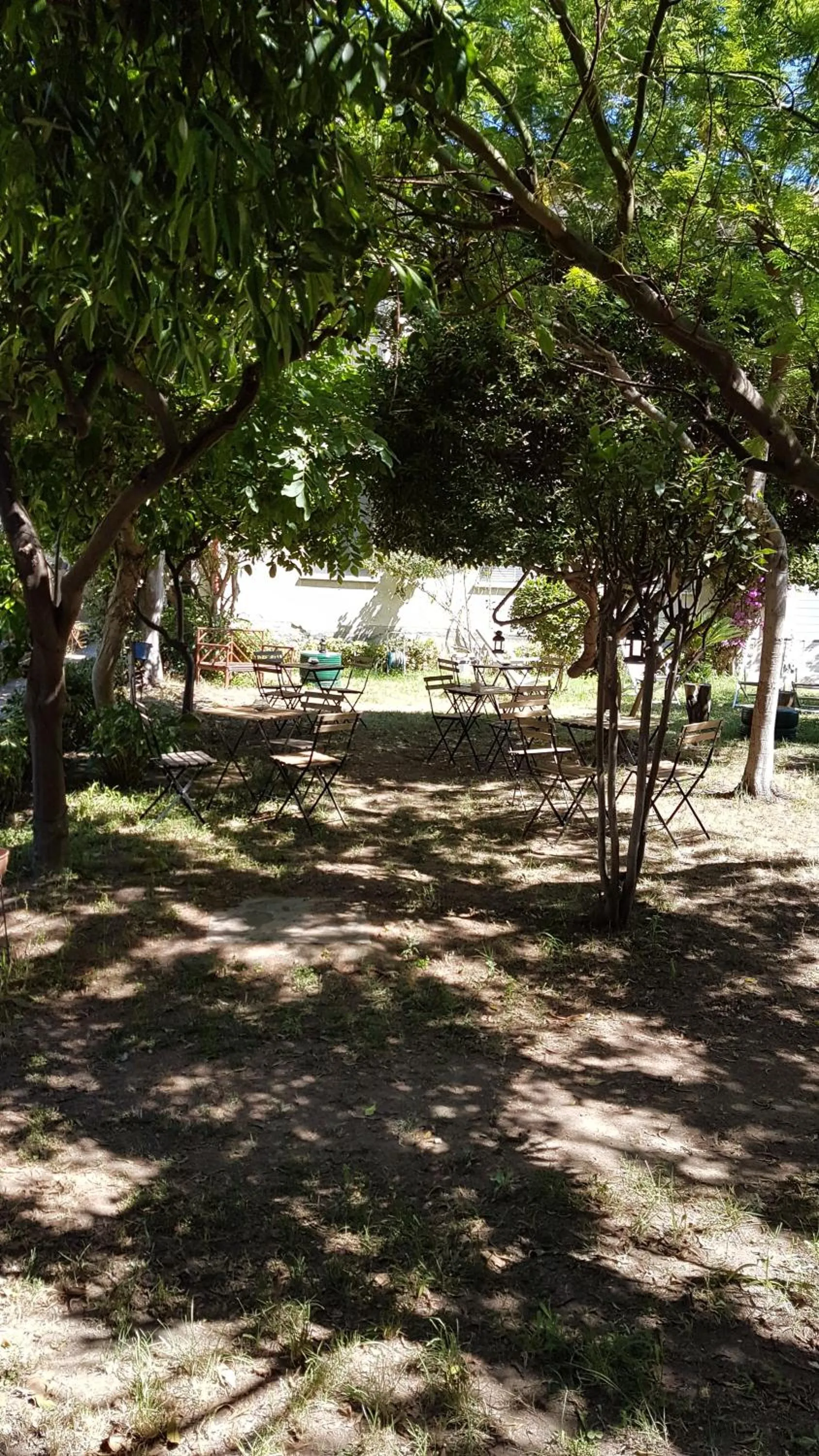 Il Giardino Di Vico Neve