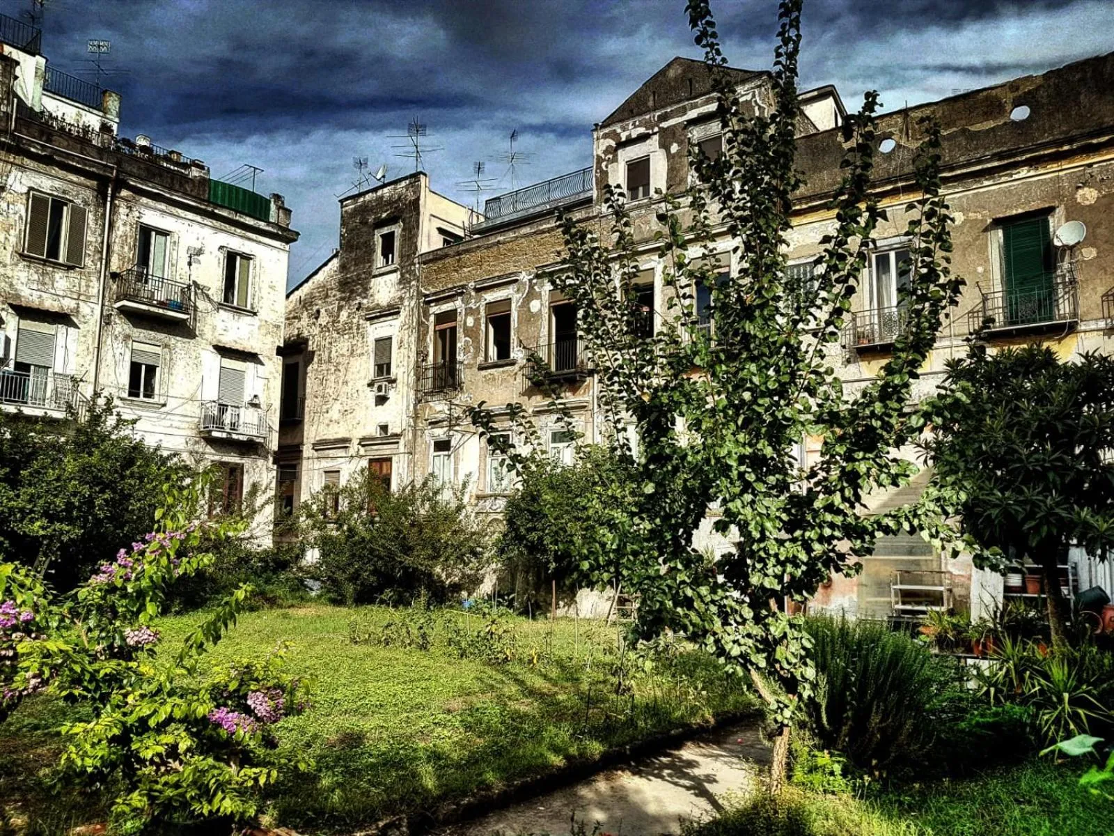 Il Giardino Di Vico Neve