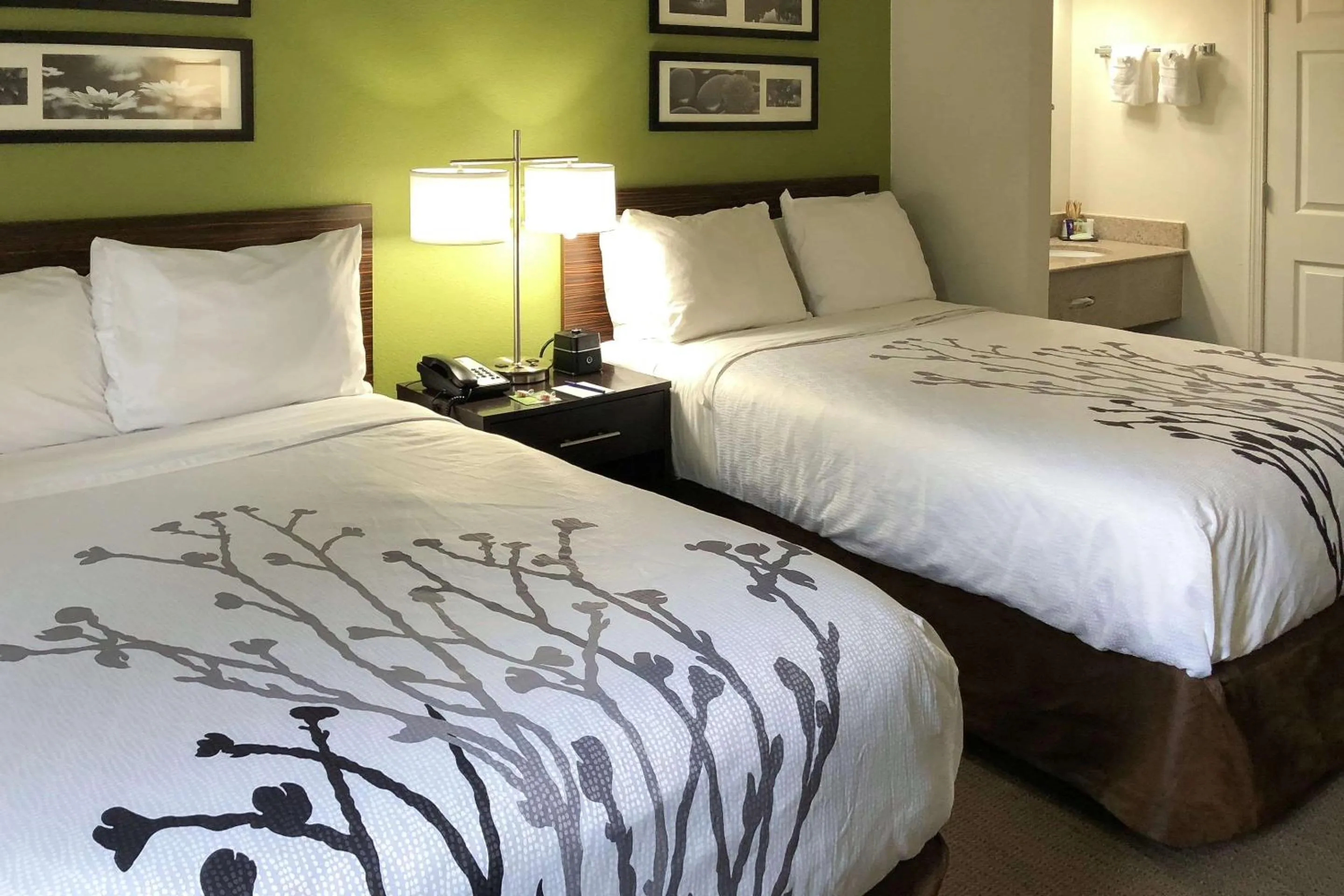 Photo of the whole room, Bed in Sleep Inn McDonough South