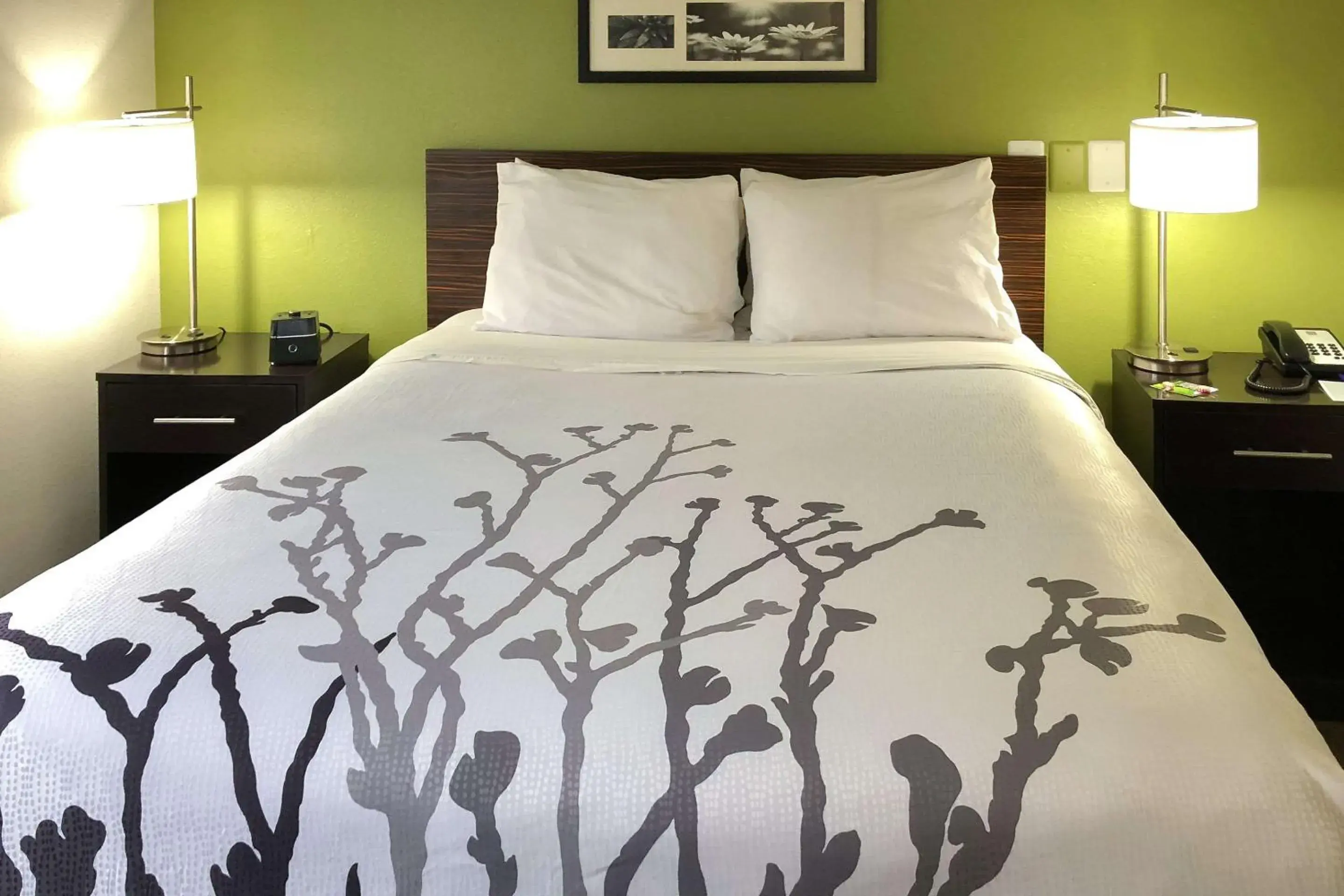 Photo of the whole room, Bed in Sleep Inn McDonough South Photo of the whole room, Bed in Sleep Inn McDonough South