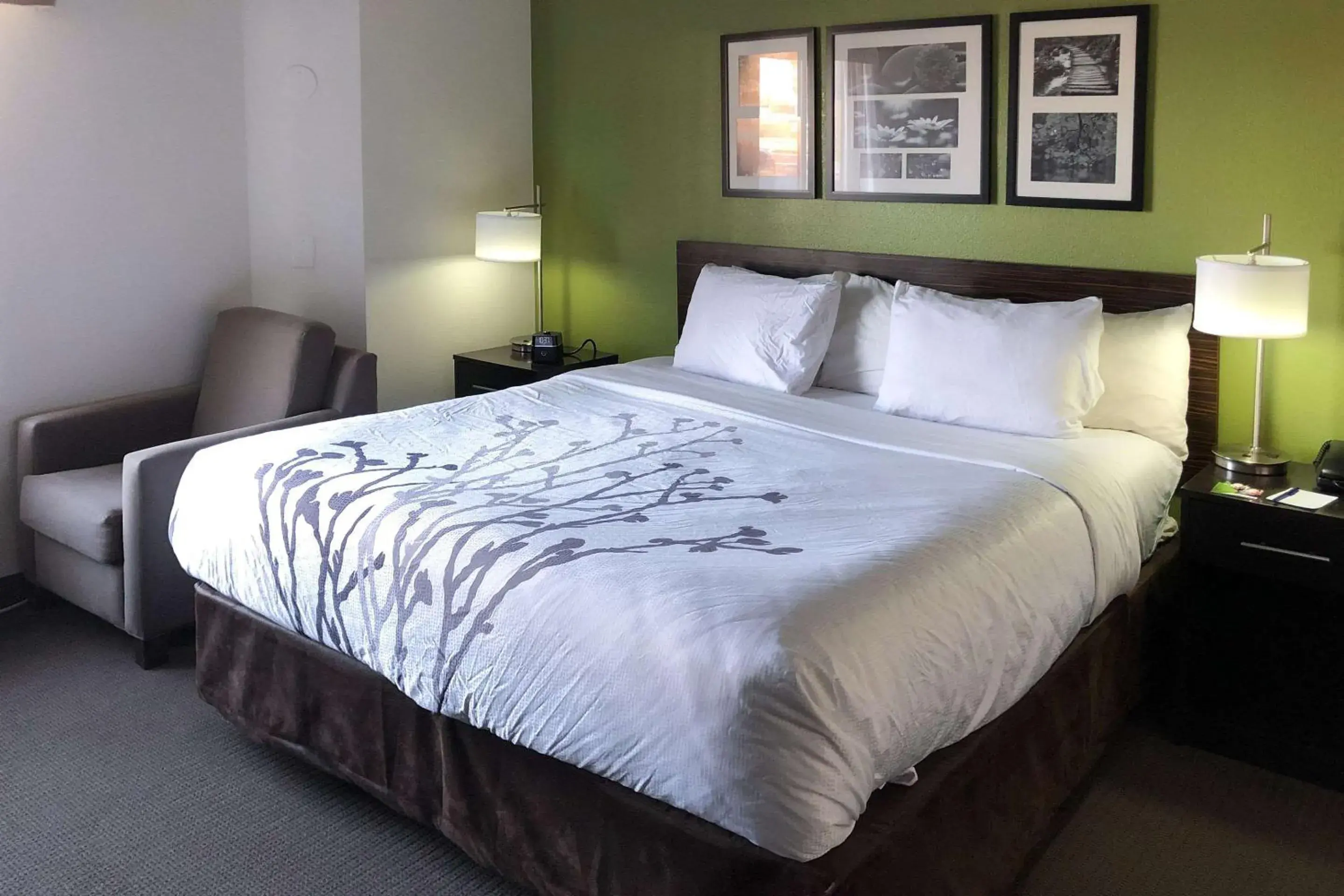 Photo of the whole room, Bed in Sleep Inn McDonough South Photo of the whole room, Bed in Sleep Inn McDonough South