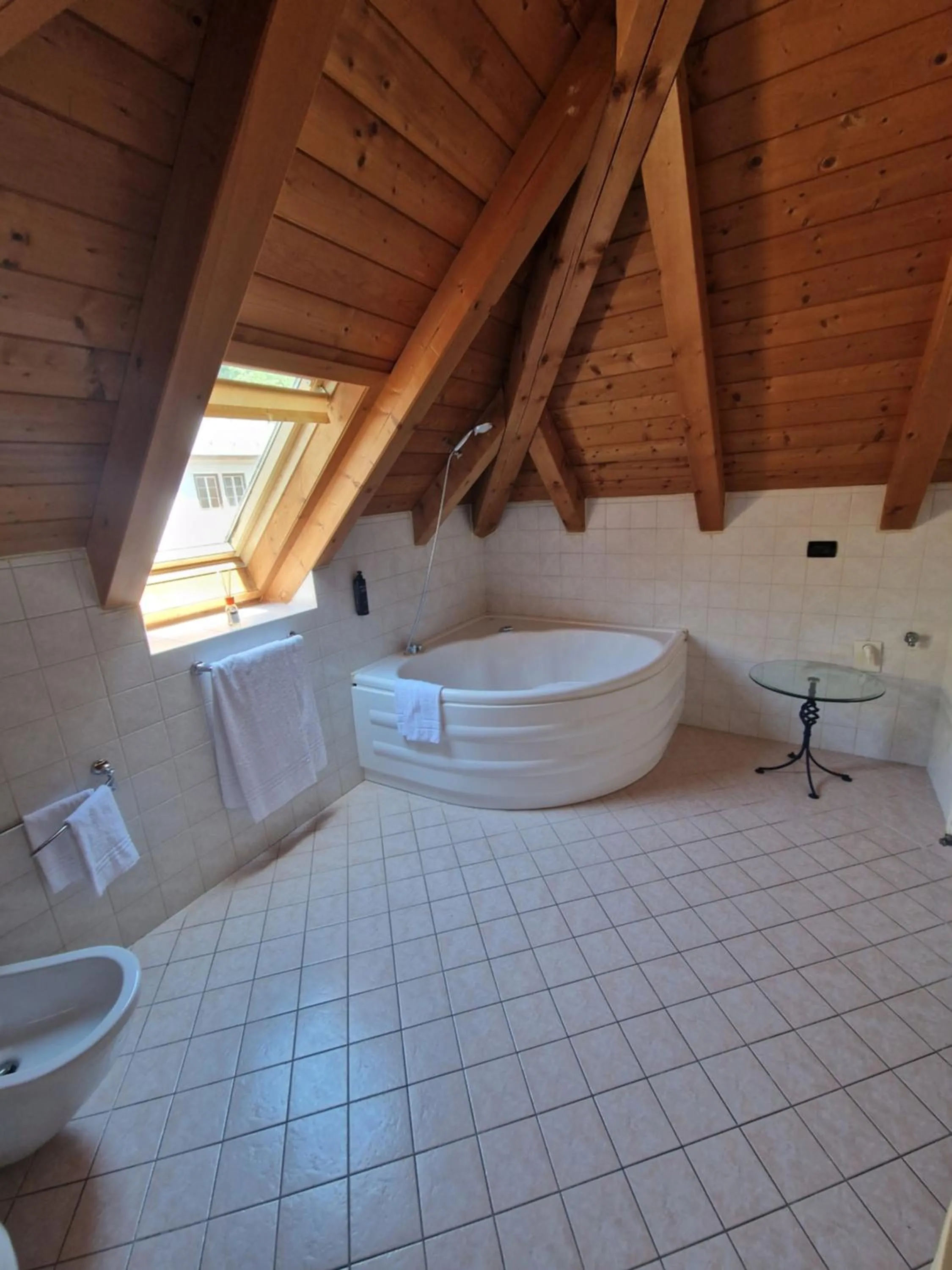 Bath in Hotel Raibl e Appartamenti