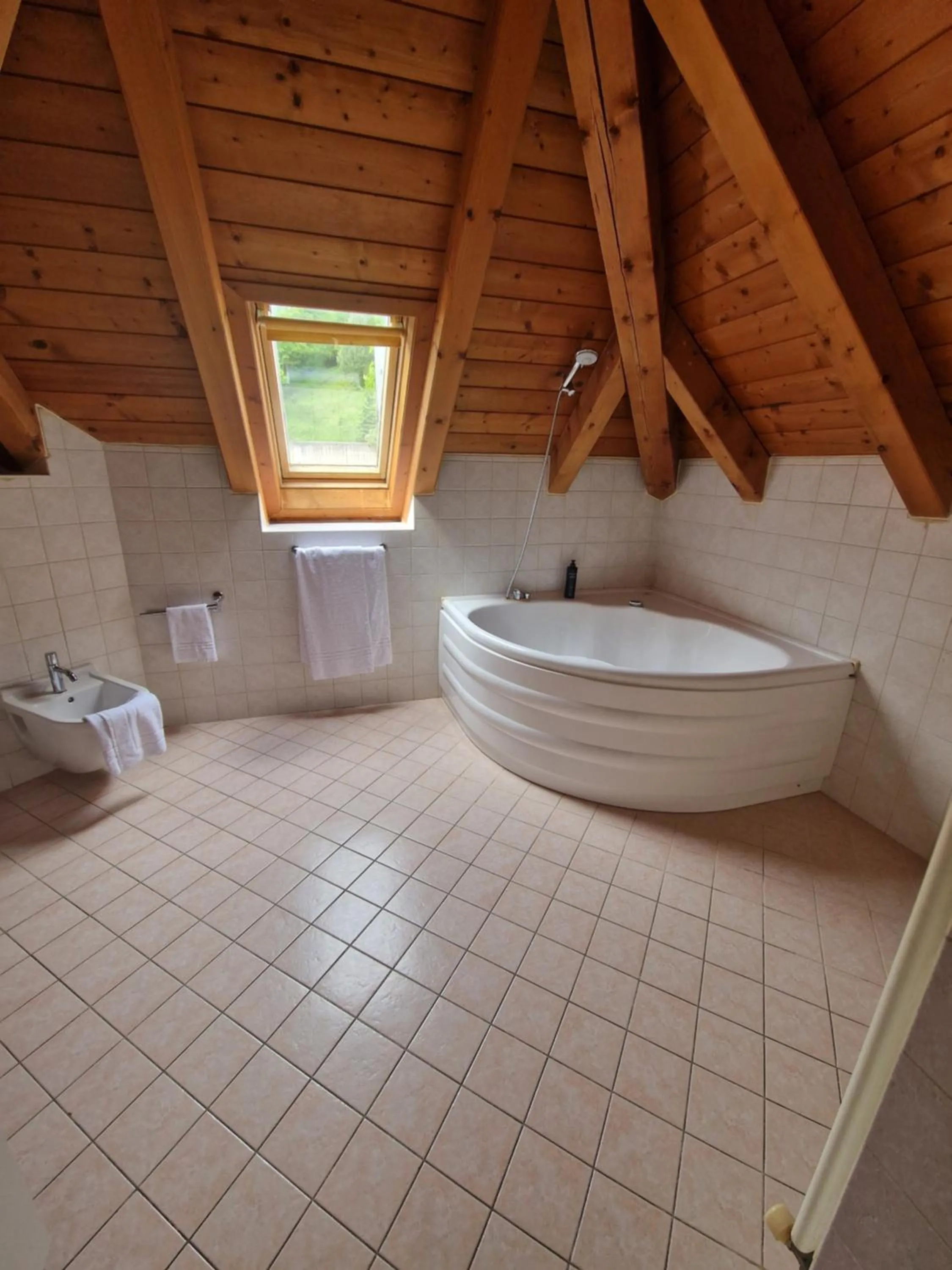Bath in Hotel Raibl e Appartamenti