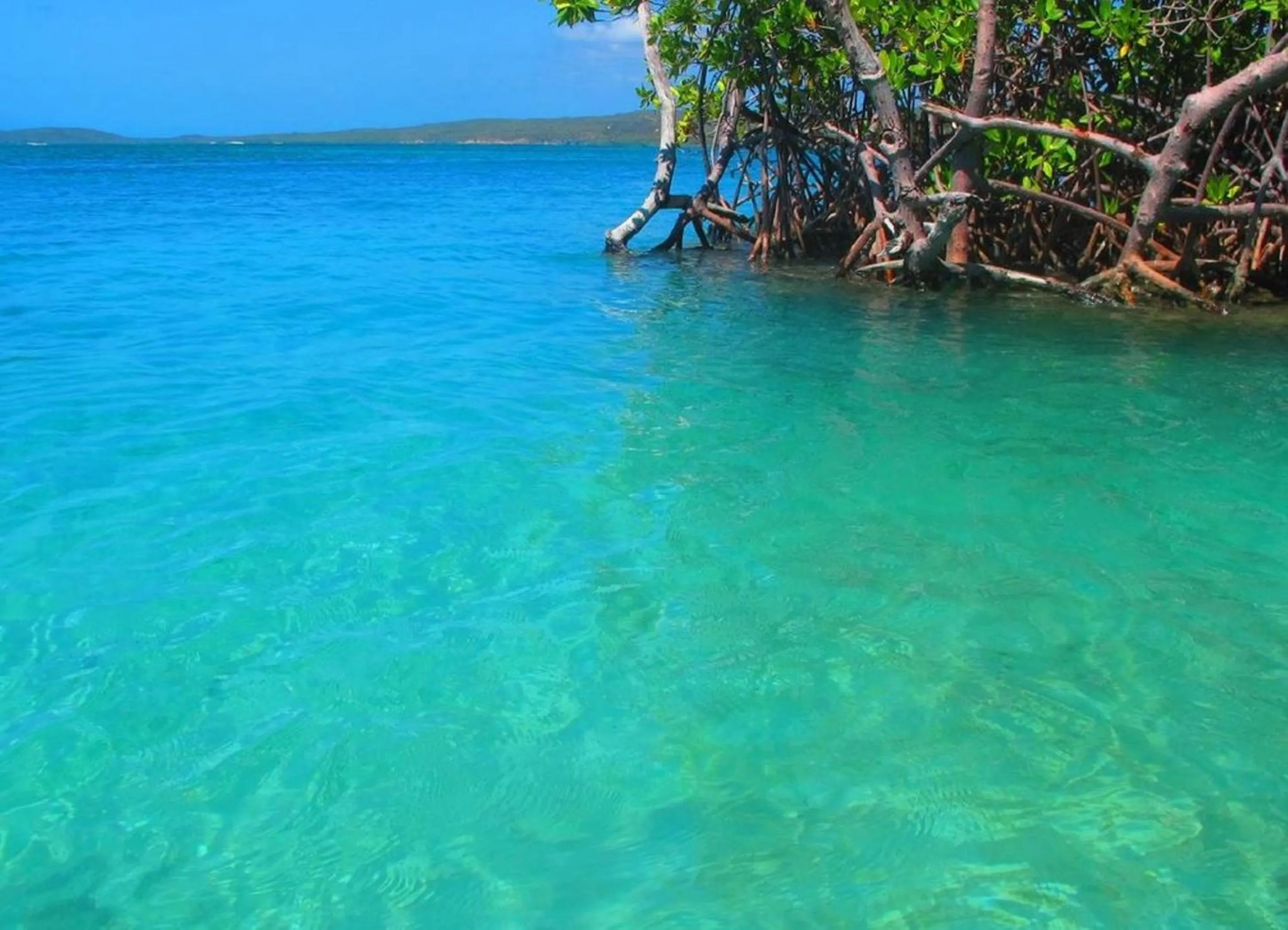 Day in Parador Guánica 1929