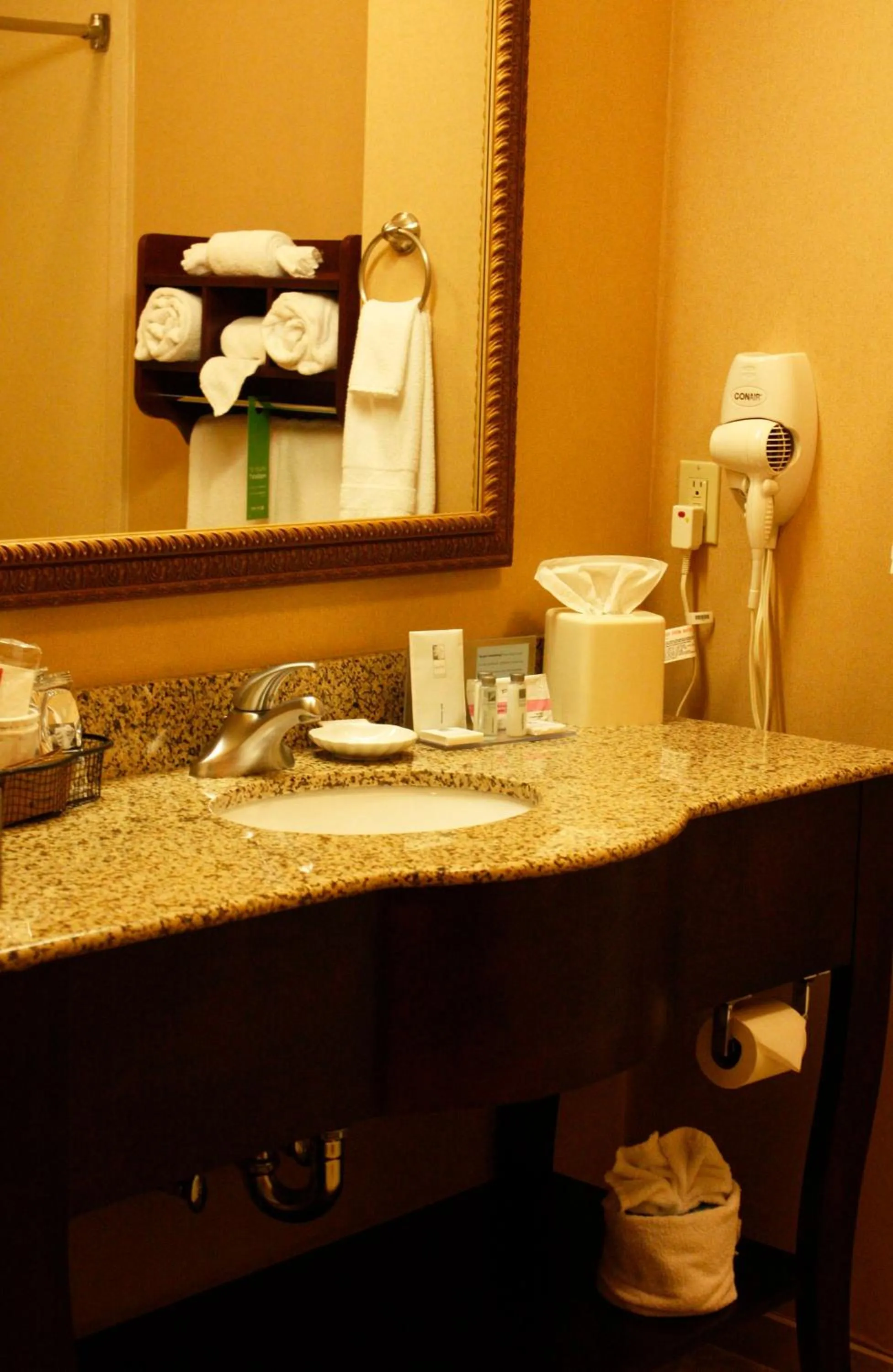 Bathroom in Hampton Inn Auburn