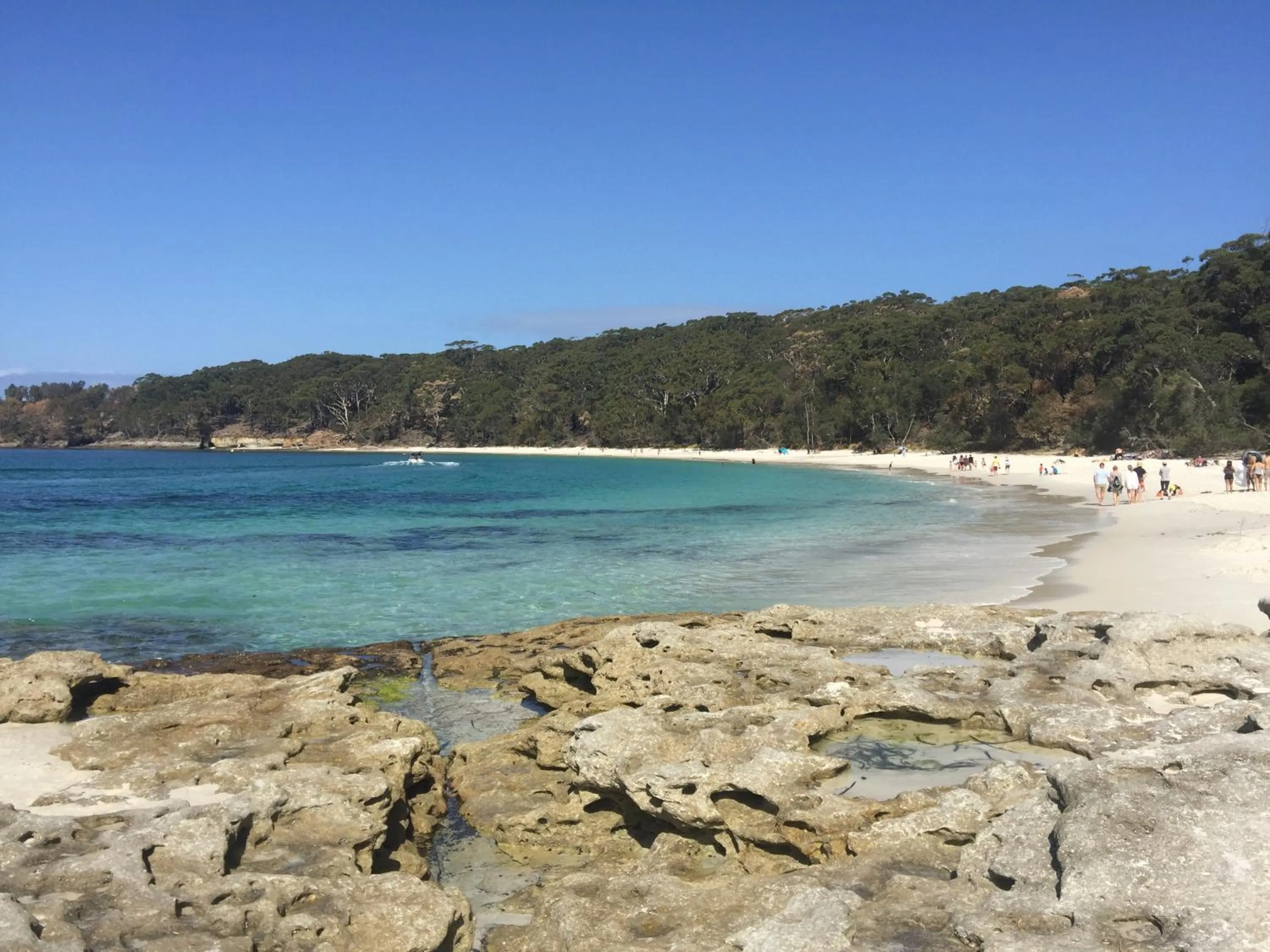Natural landscape in Huskisson Bayside Resort