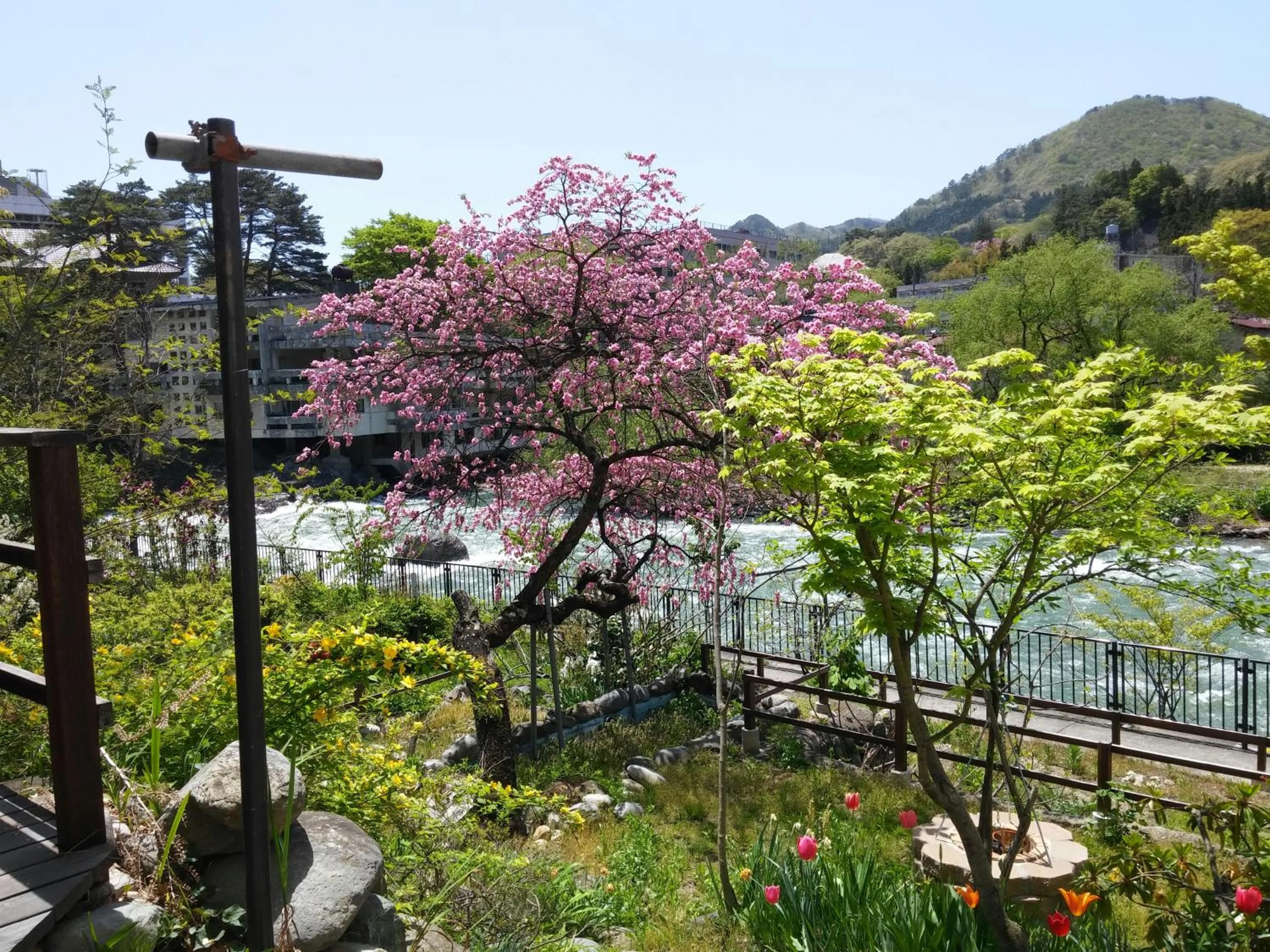 Spring in Oyado Matsubaya