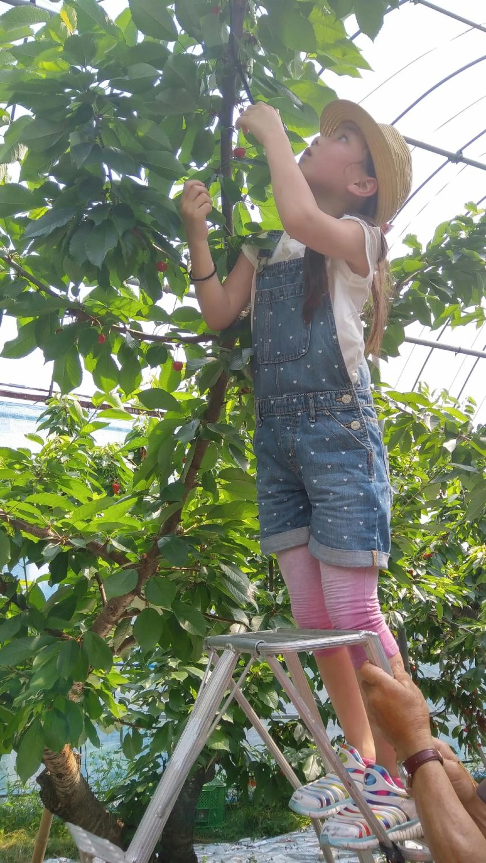 Staff in Oyado Matsubaya