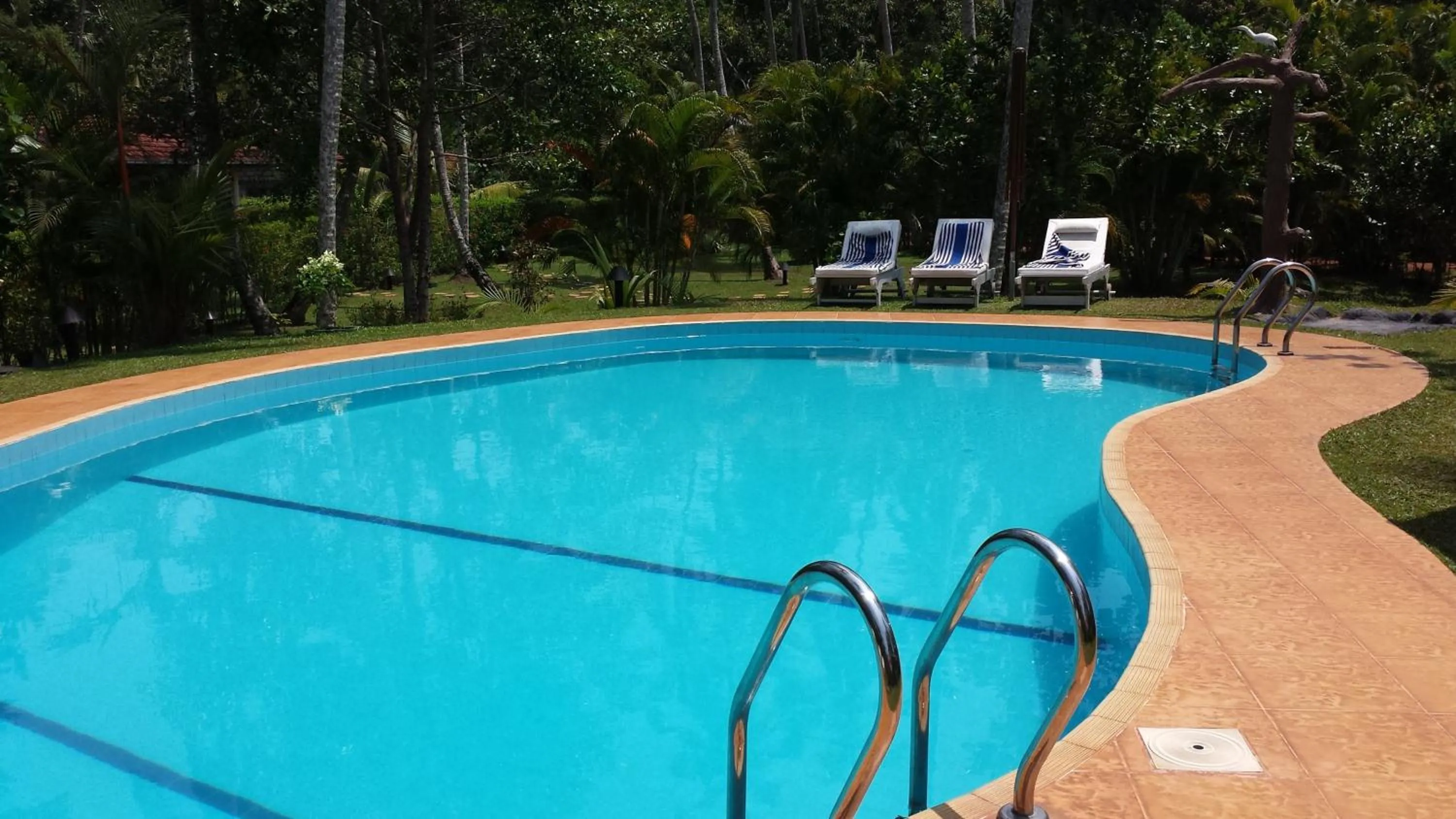 Swimming pool in Dalmanuta Gardens