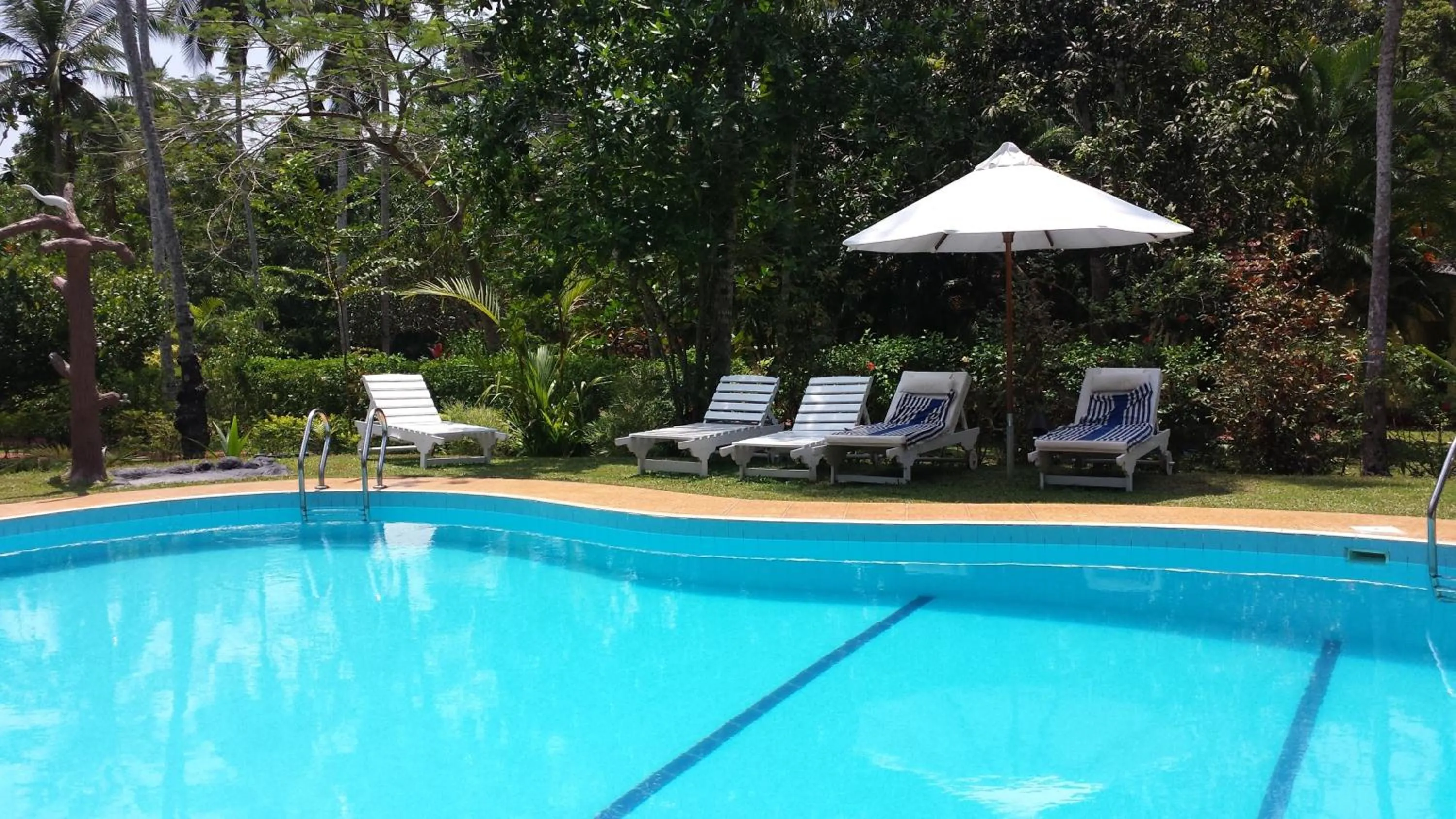 Swimming pool in Dalmanuta Gardens