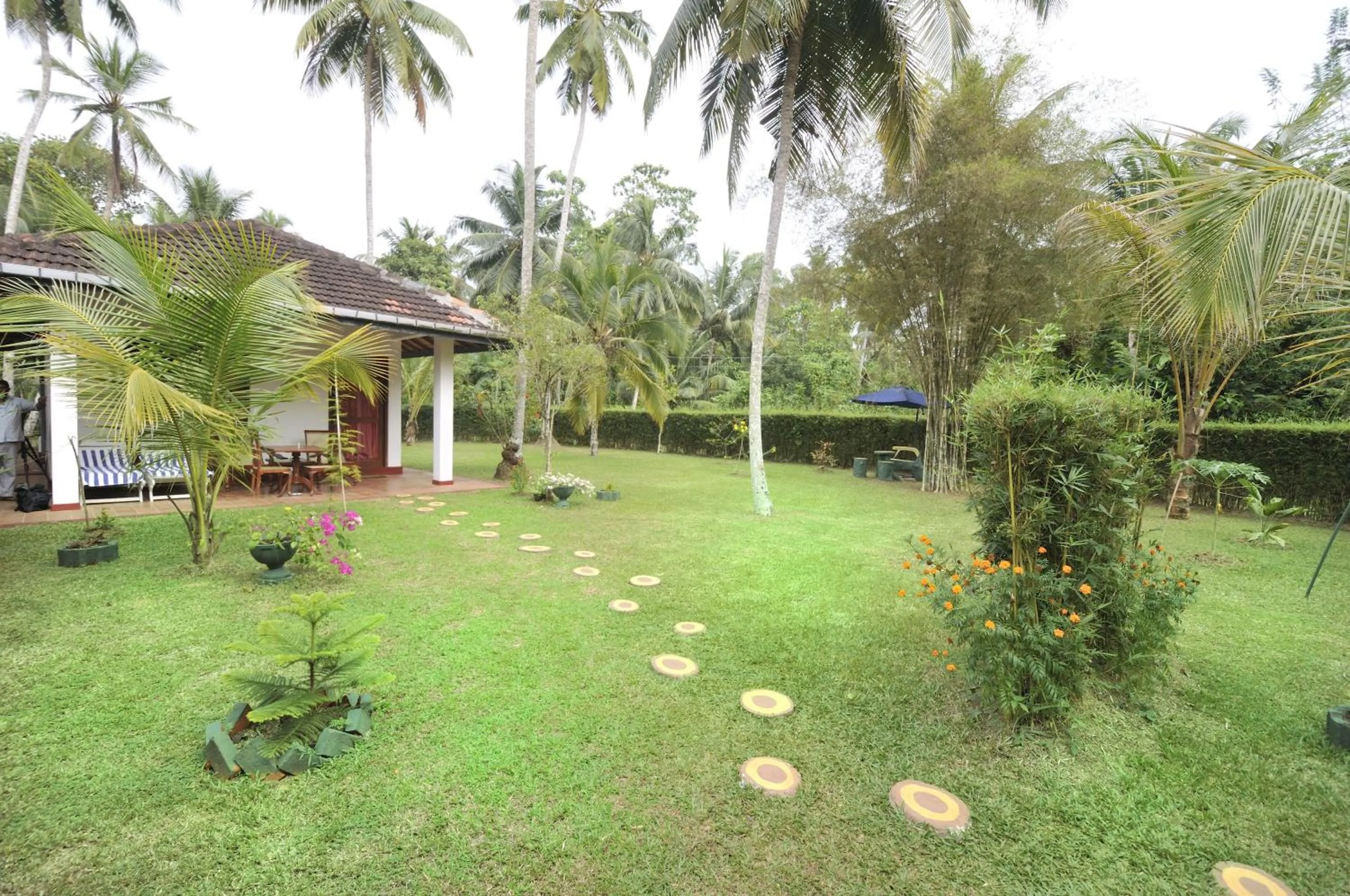 Garden in Dalmanuta Gardens
