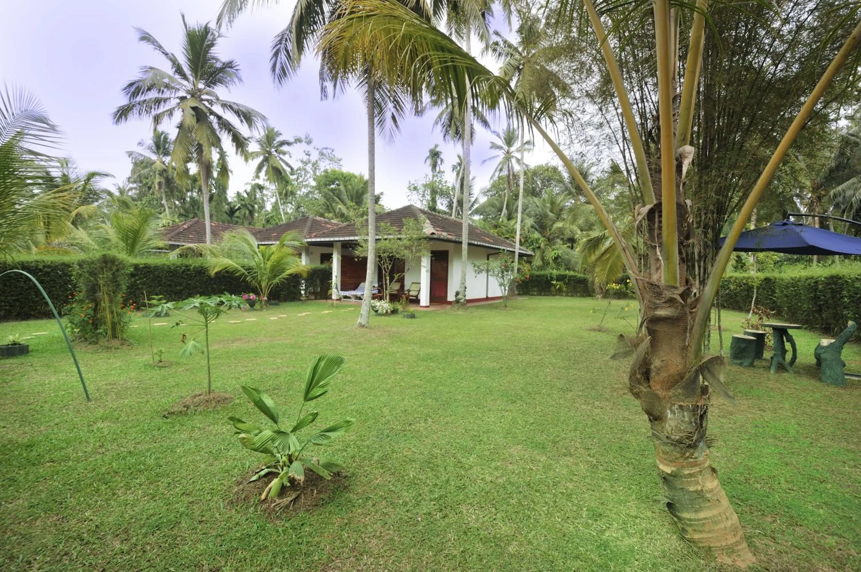 Property building in Dalmanuta Gardens