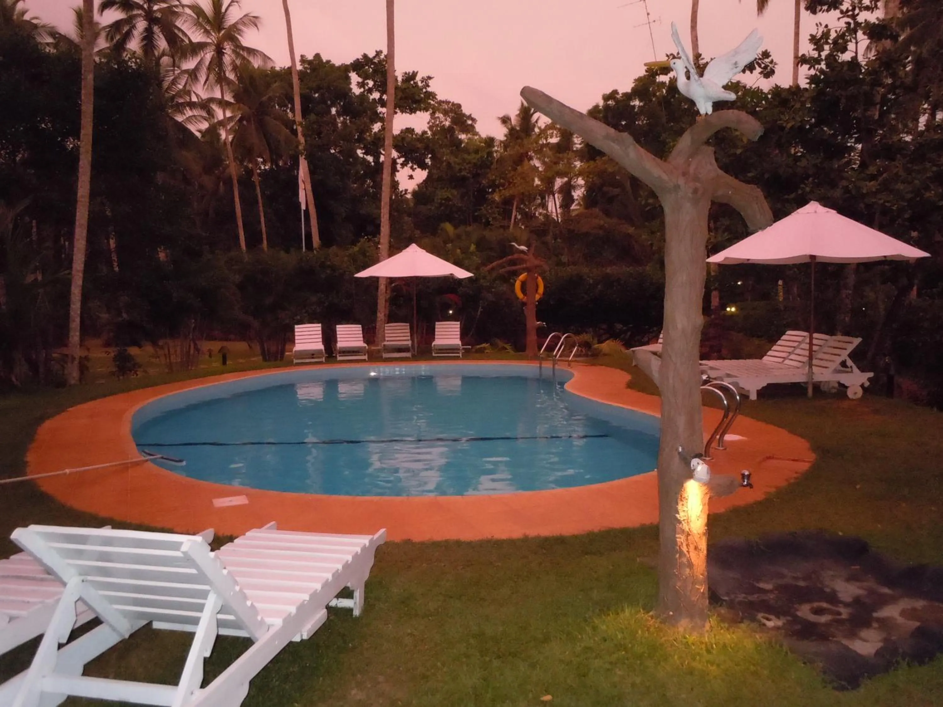 Swimming pool in Dalmanuta Gardens