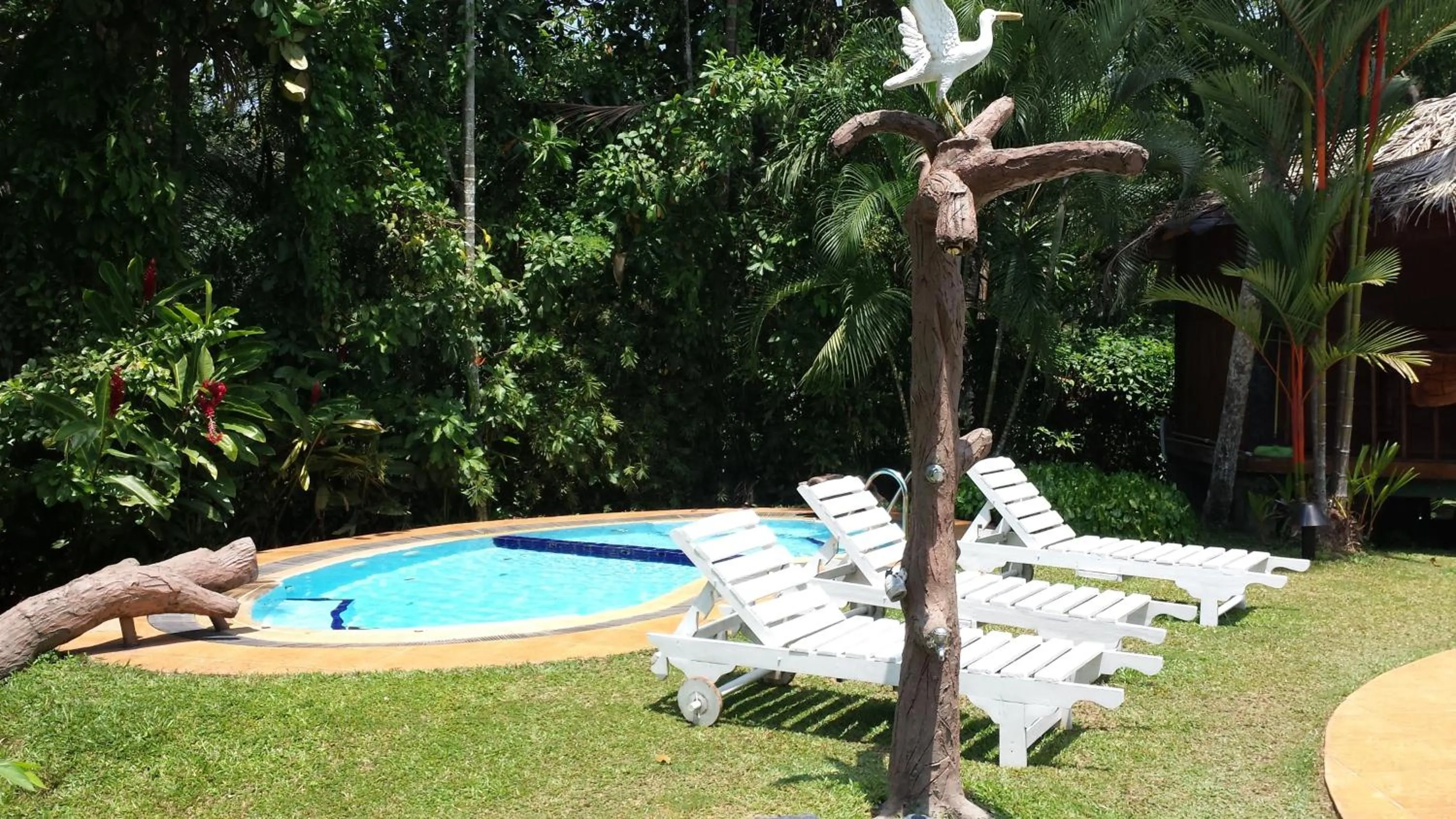 Swimming pool in Dalmanuta Gardens