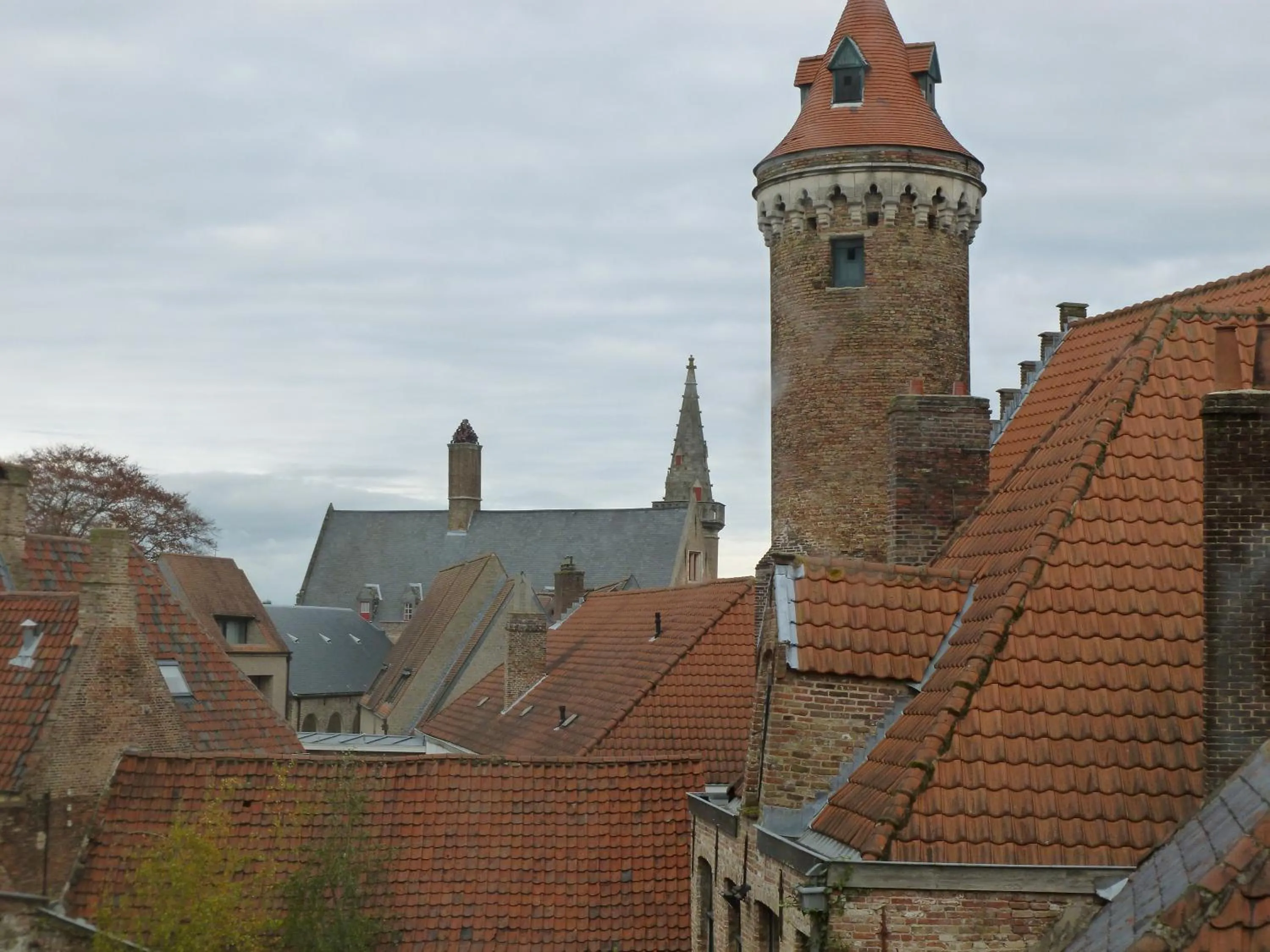 View (from property/room) in Hotel Alegria