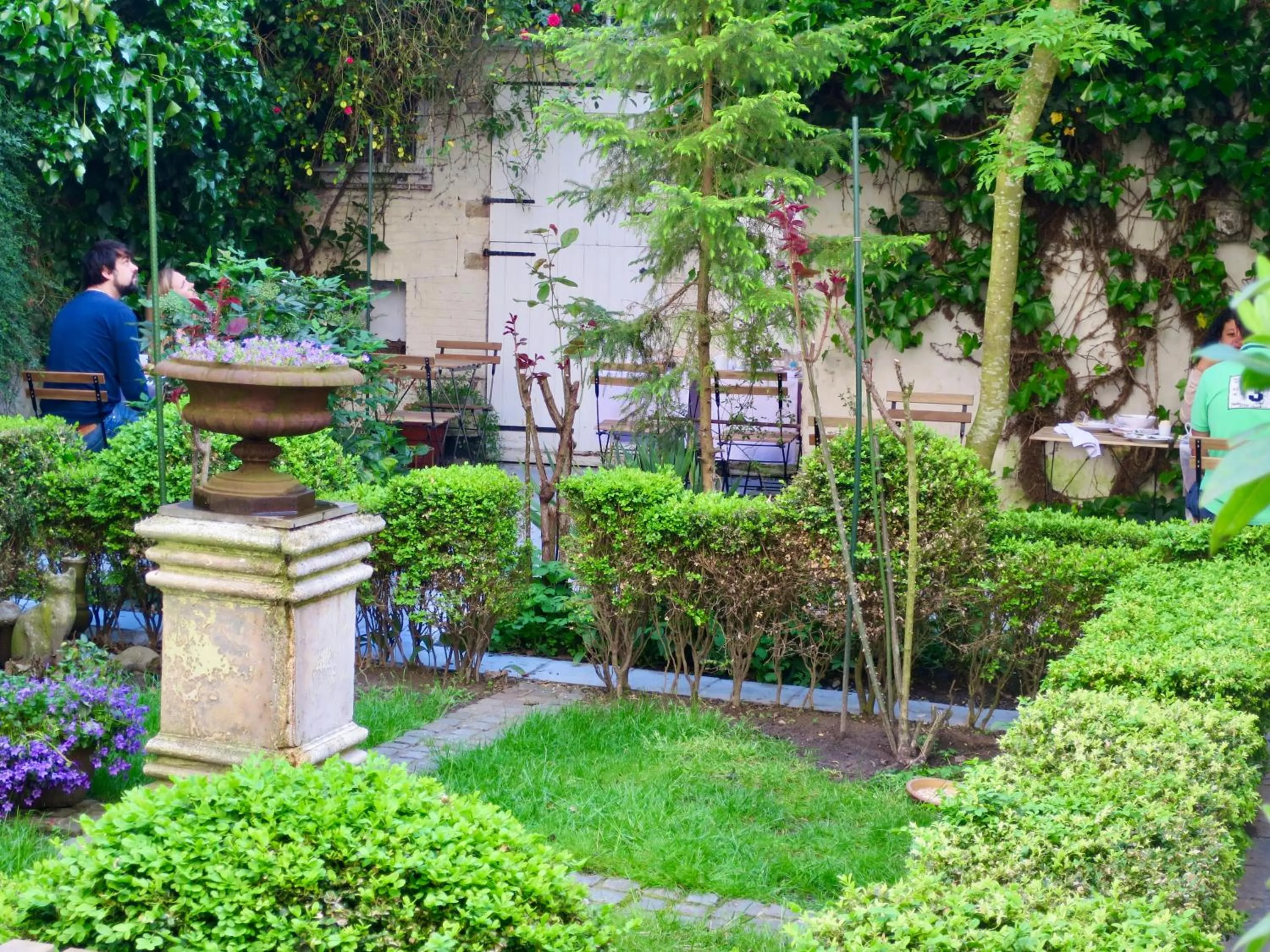 Garden in Hotel Alegria