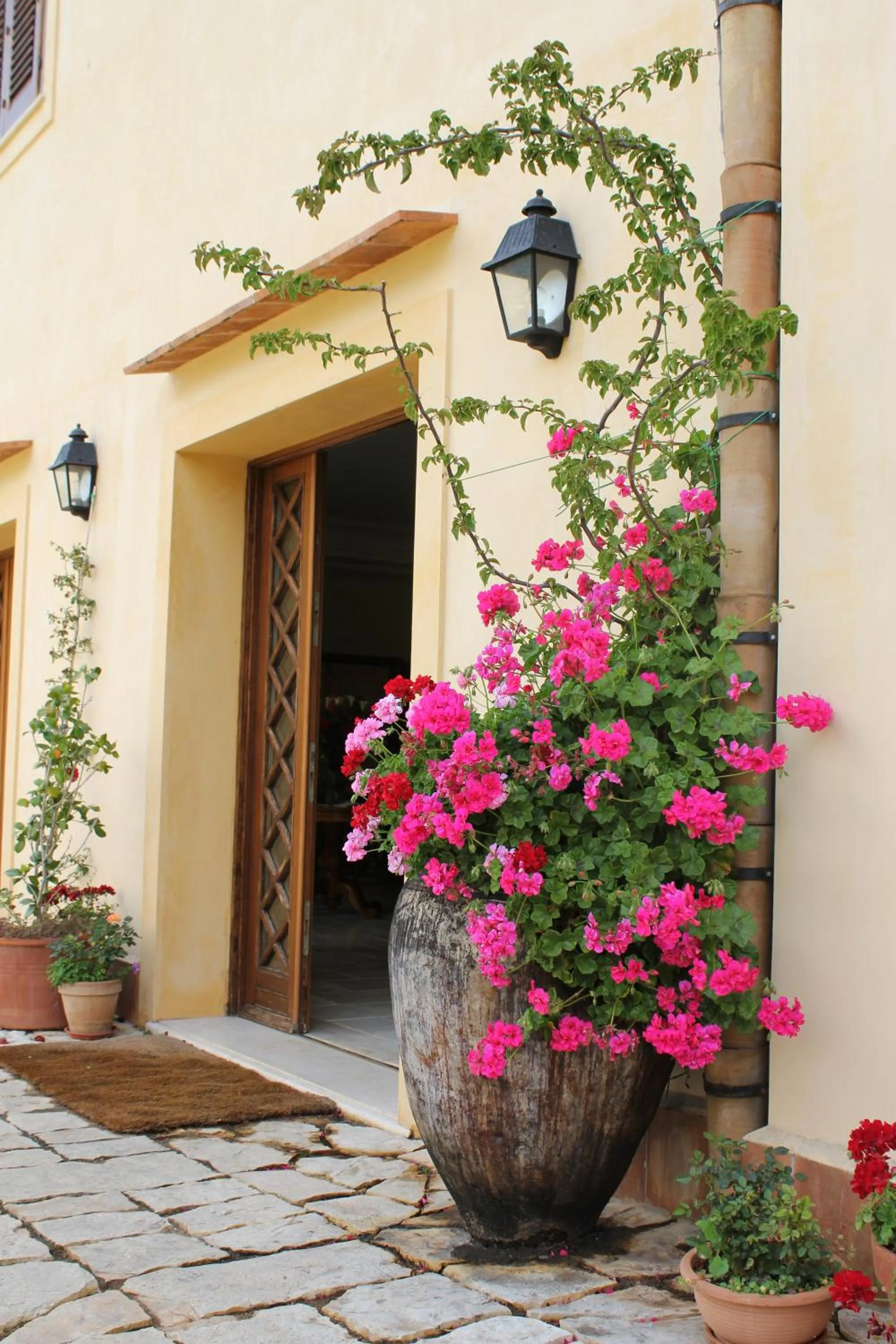 Facade/entrance in Torre Bennistra