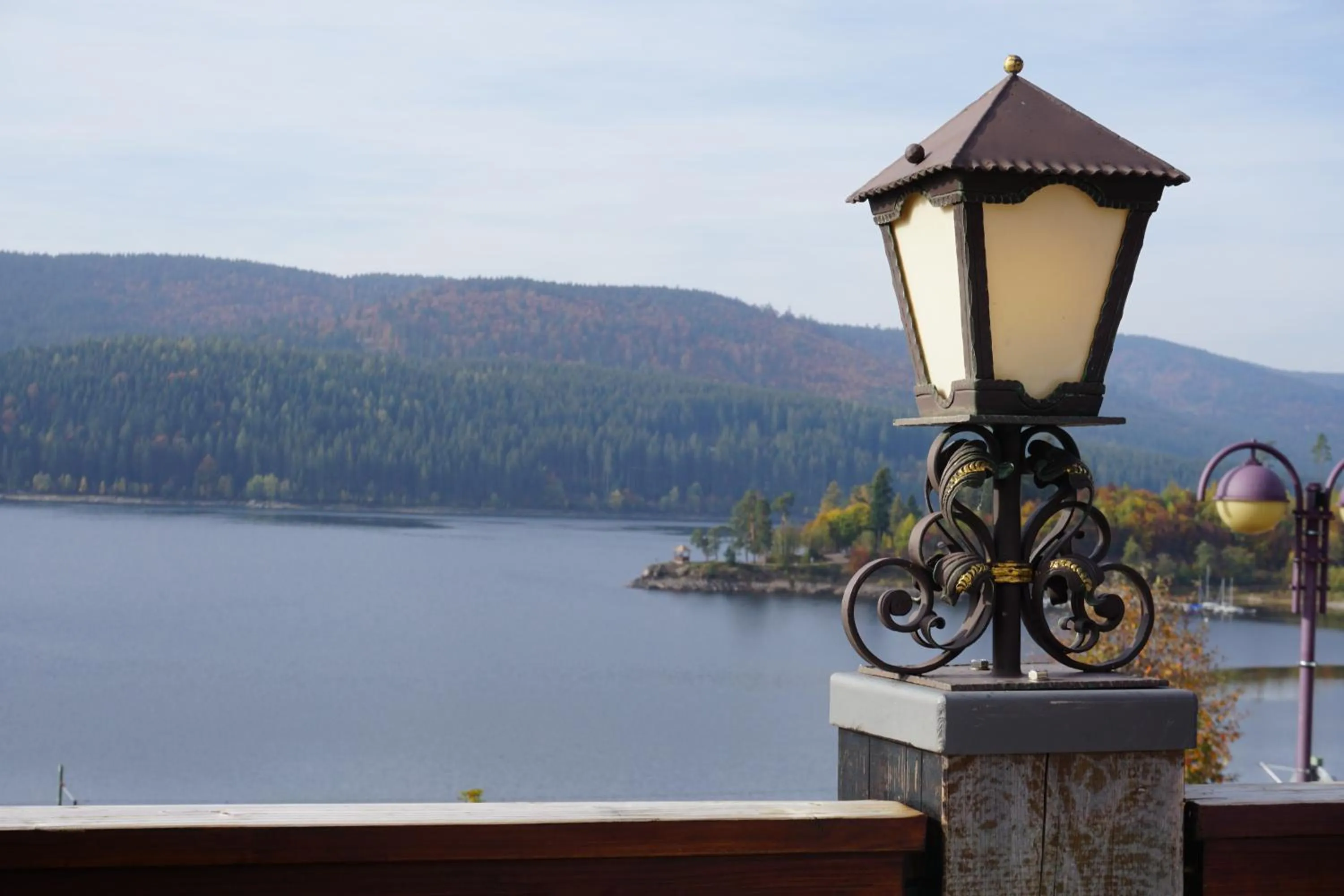Lake view in Hotel Schiff am Schluchsee