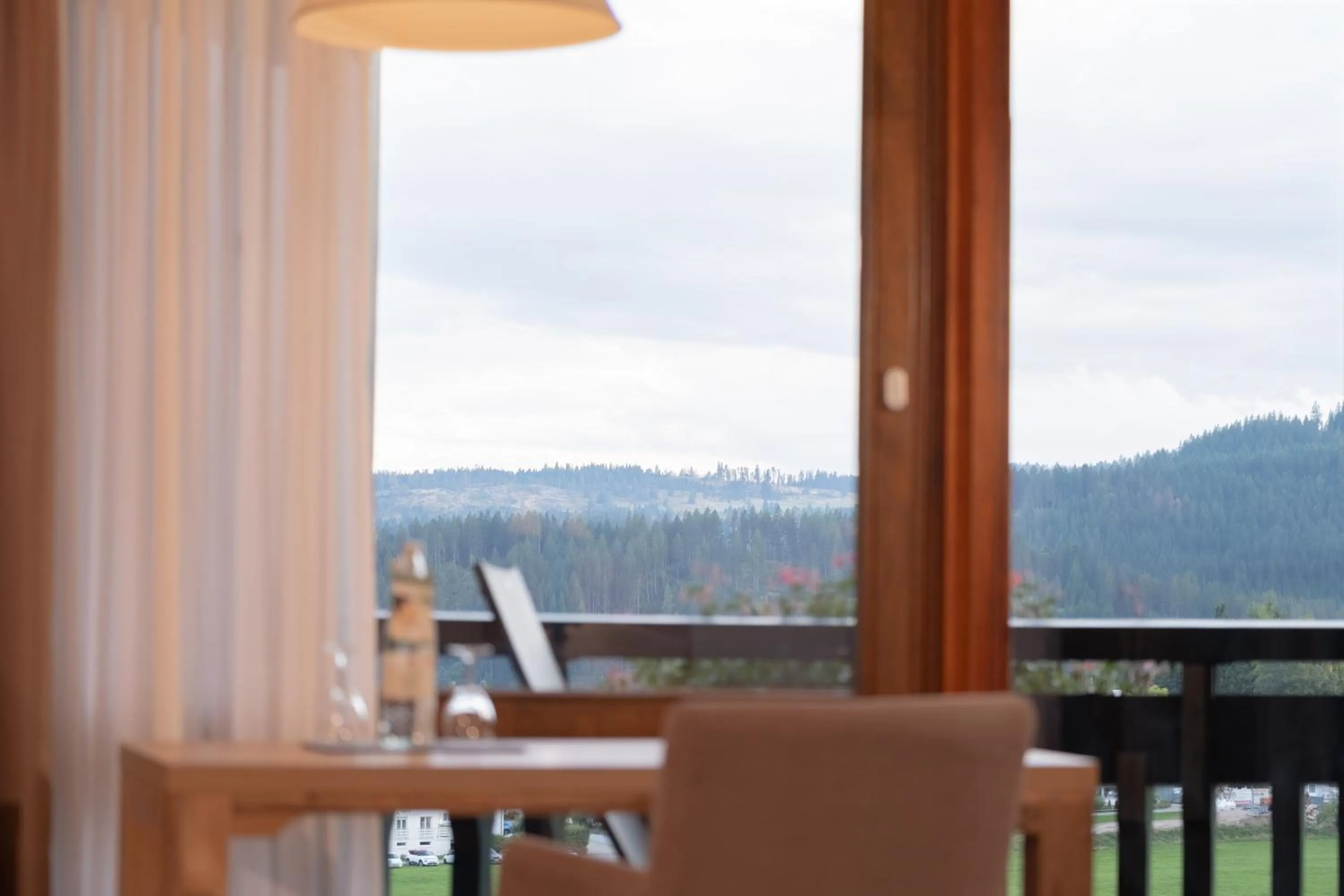 View (from property/room) in Hotel Vier Jahreszeiten am Schluchsee