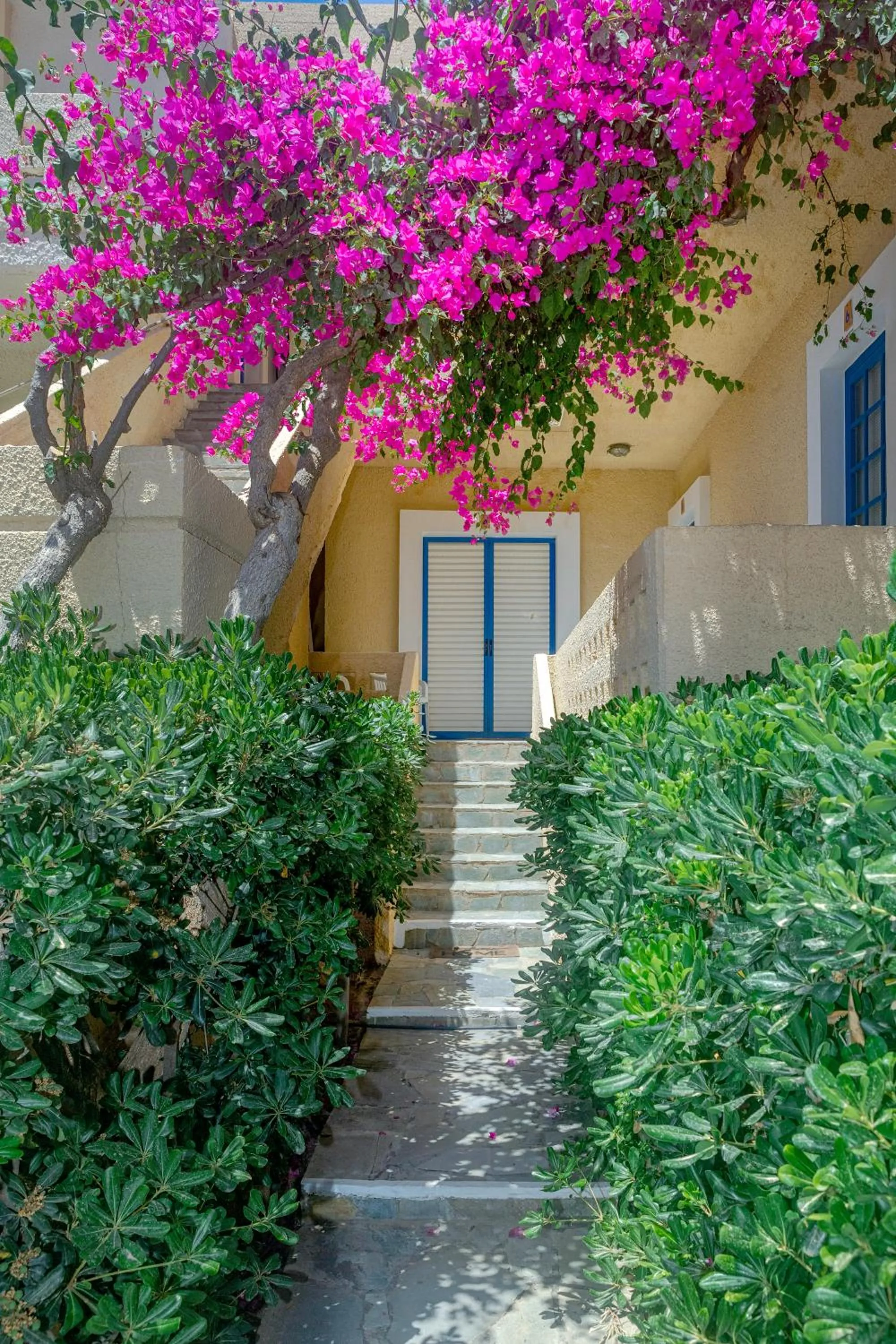 Property building in Little Bay