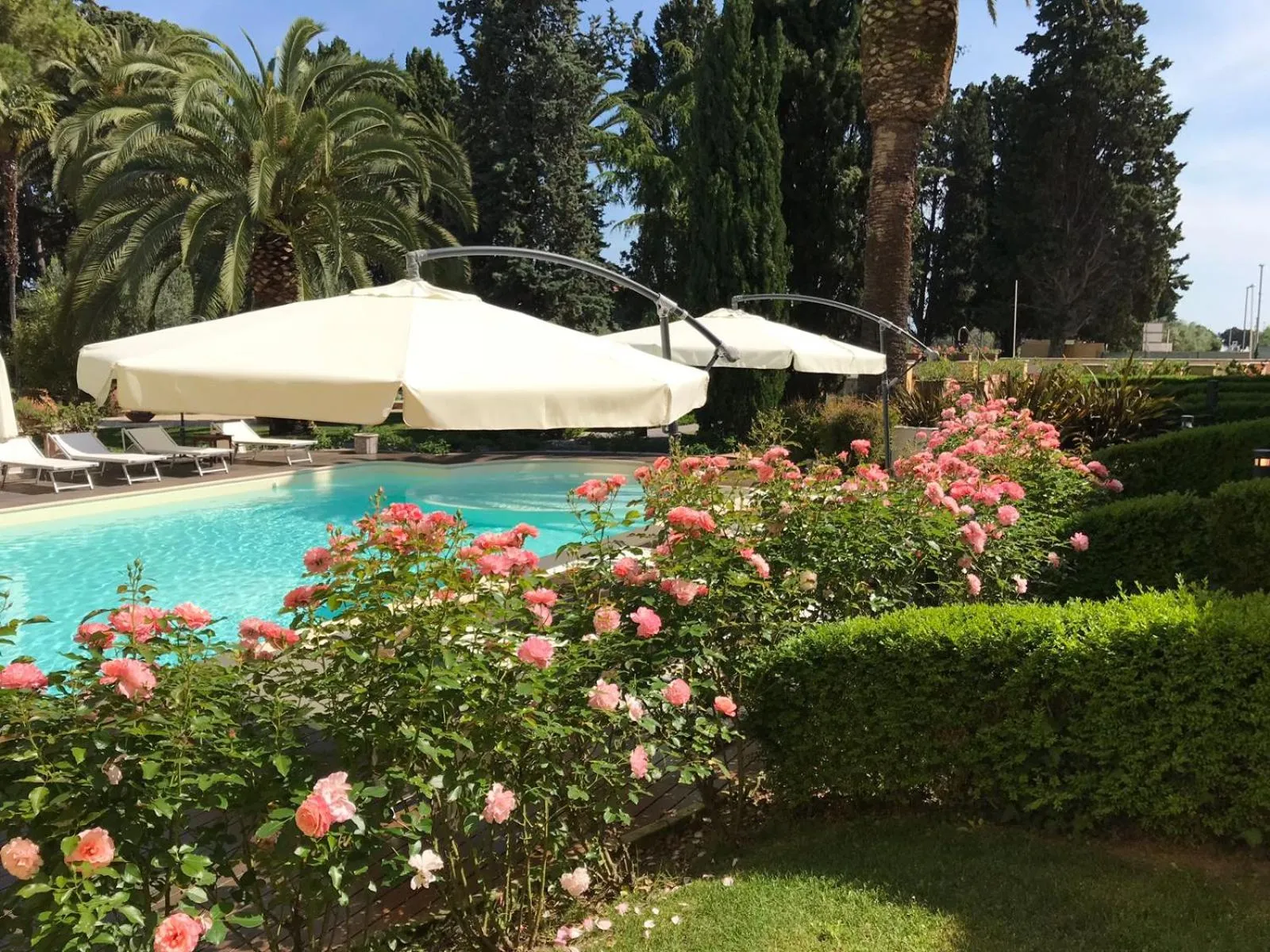 Garden in Villa Rosella Resort