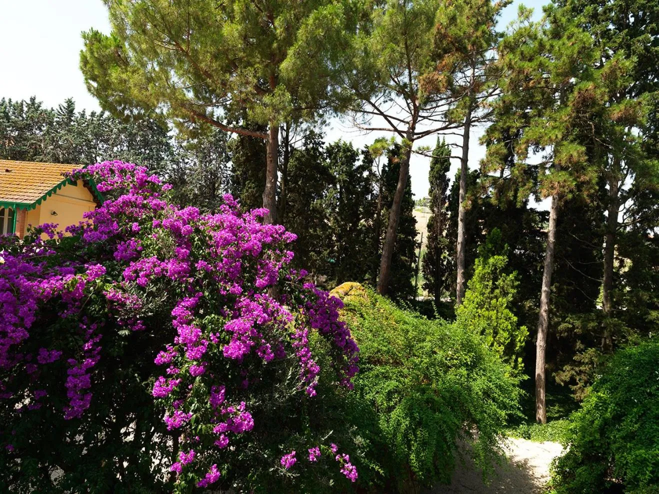 Garden view in Villa Rosella Resort