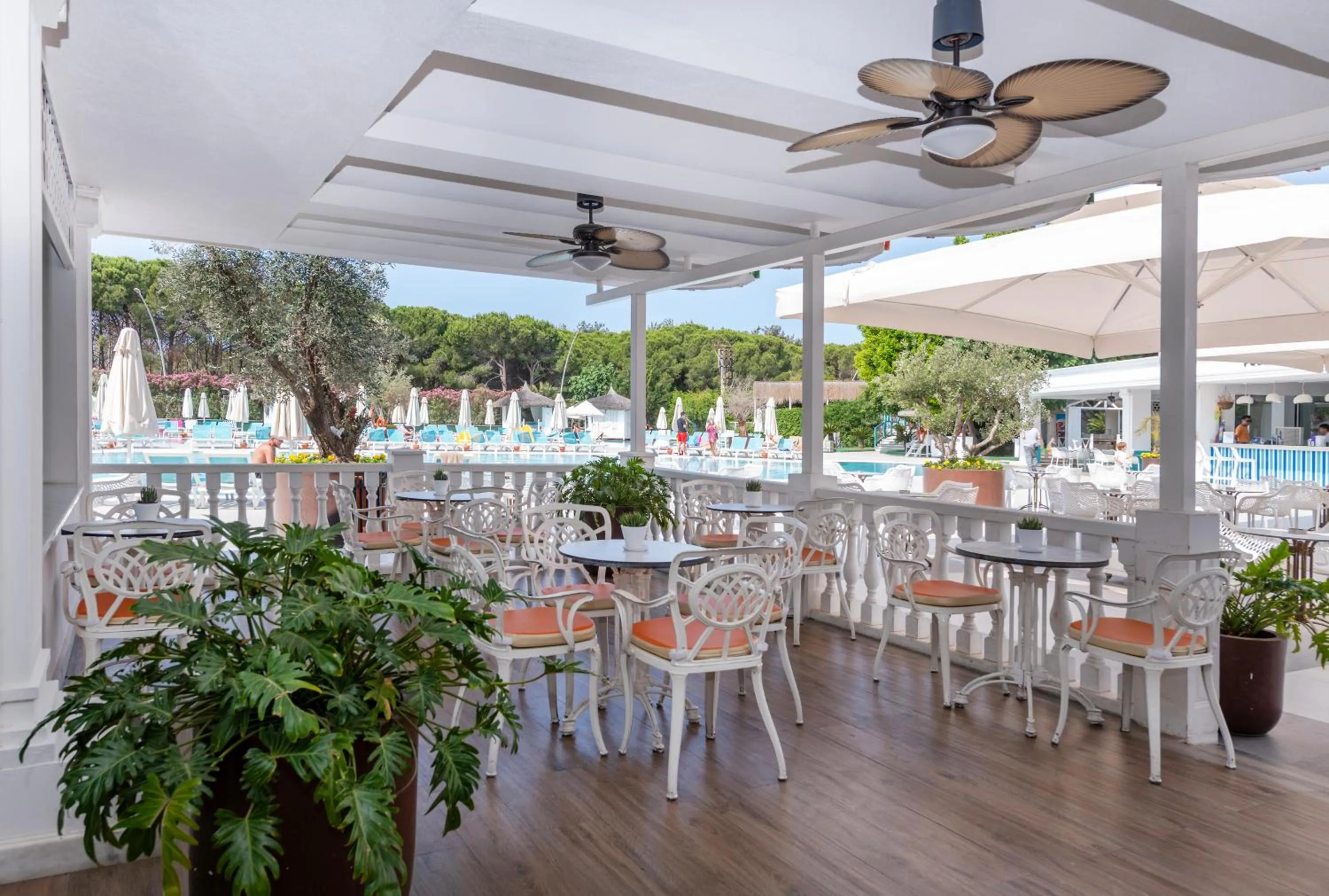 Lounge or bar in Innvista Hotels Belek